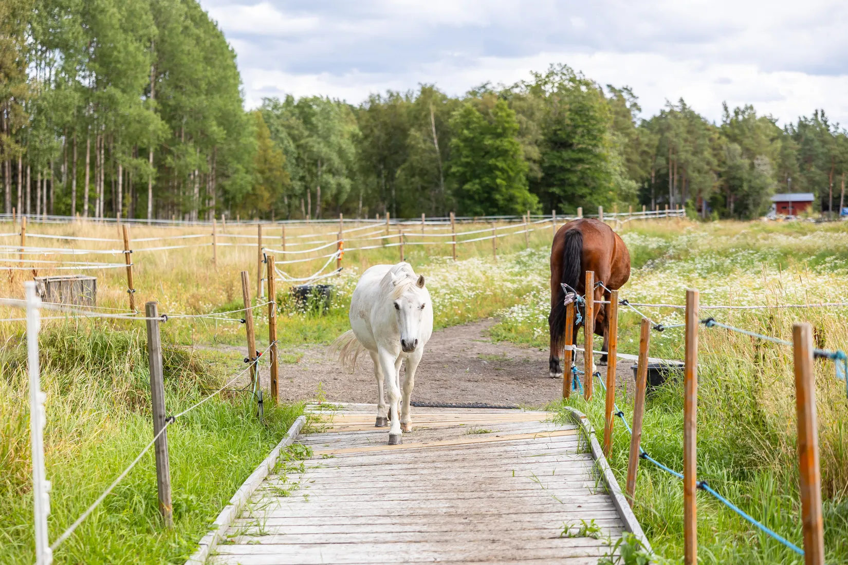 Gård/Skog, Björnäs 413, Björnäs, Östhammar