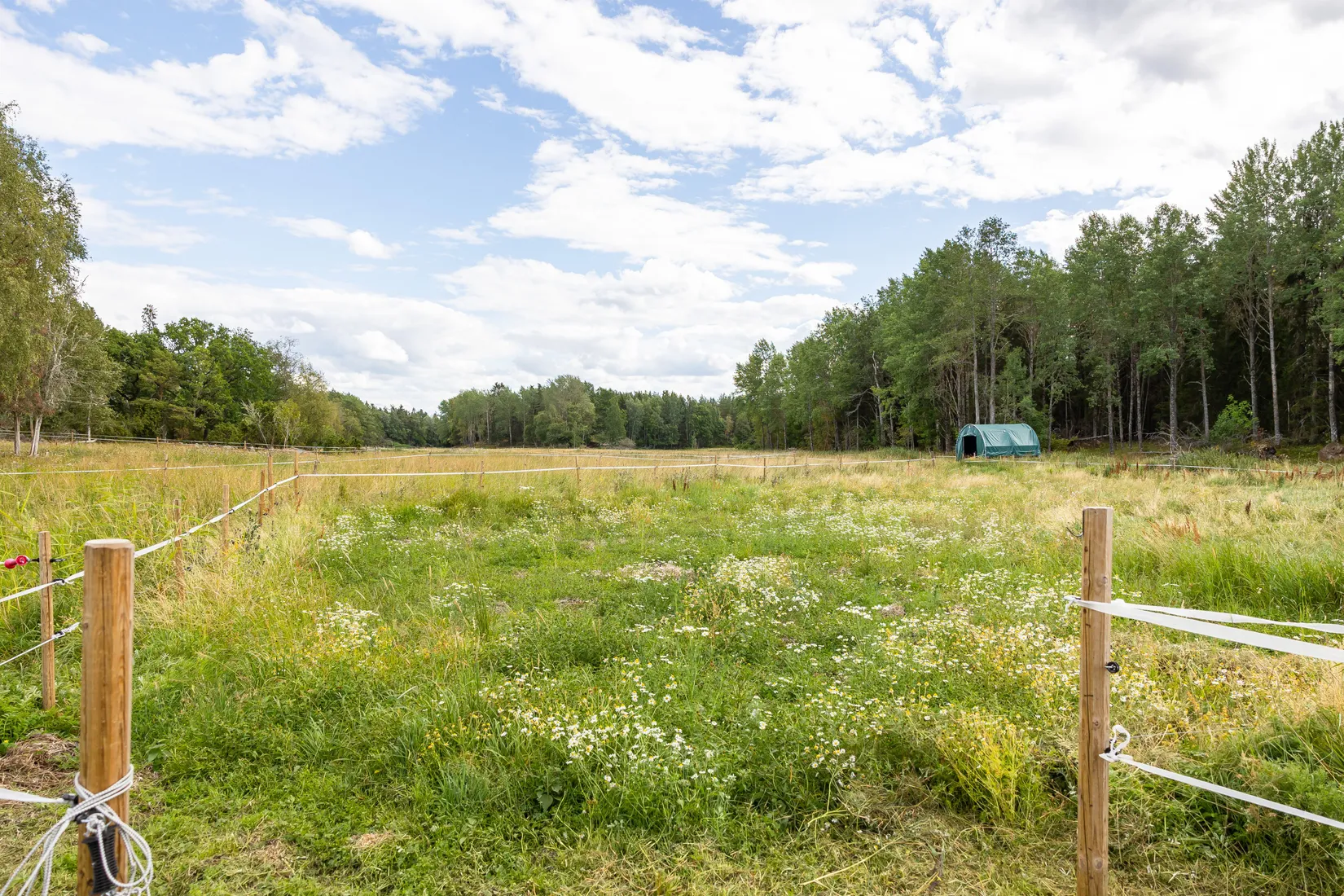 Gård/Skog, Björnäs 413, Björnäs, Östhammar