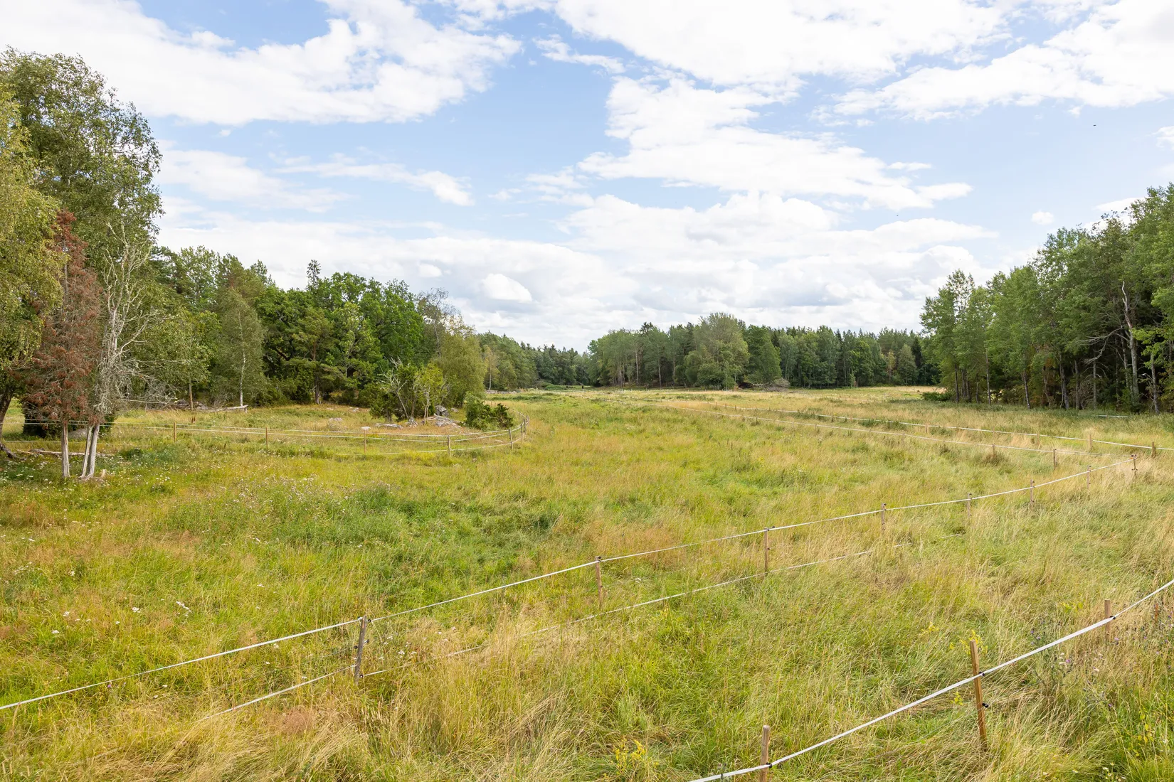 Gård/Skog, Björnäs 413, Björnäs, Östhammar