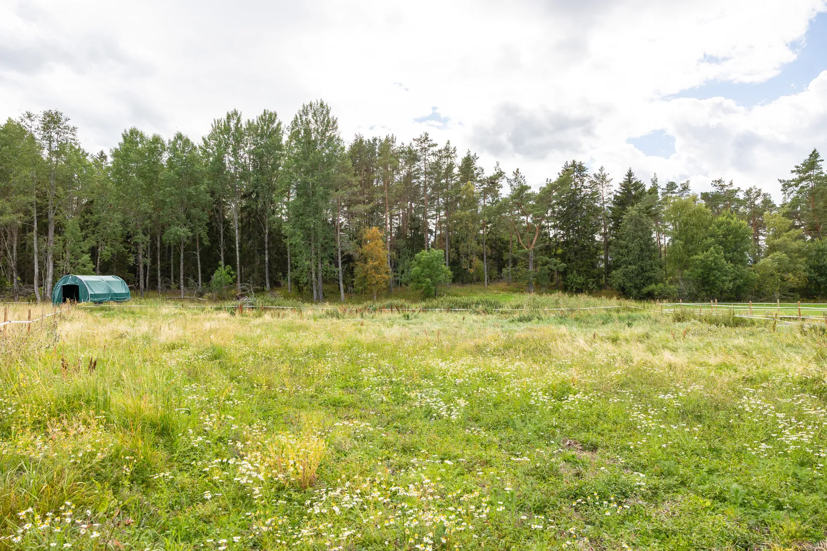 Gård/Skog, Björnäs 413, Björnäs, Östhammar