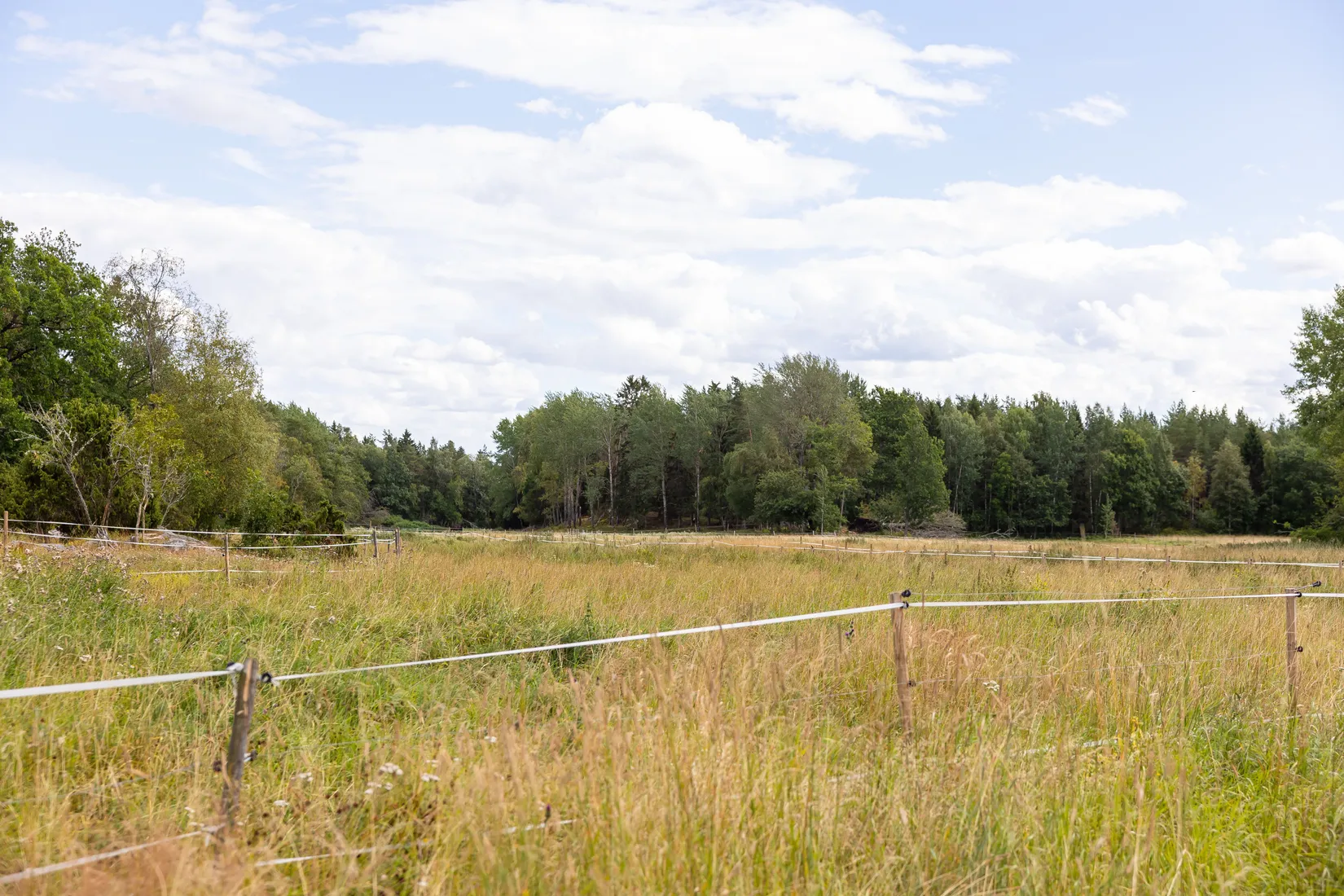Gård/Skog, Björnäs 413, Björnäs, Östhammar