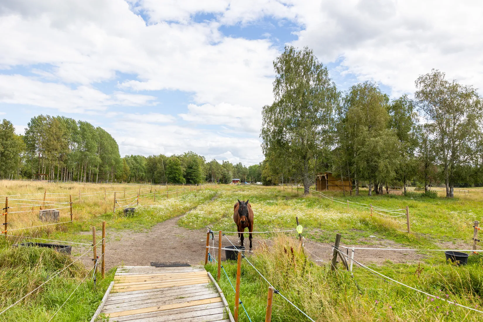 Gård/Skog, Björnäs 413, Björnäs, Östhammar