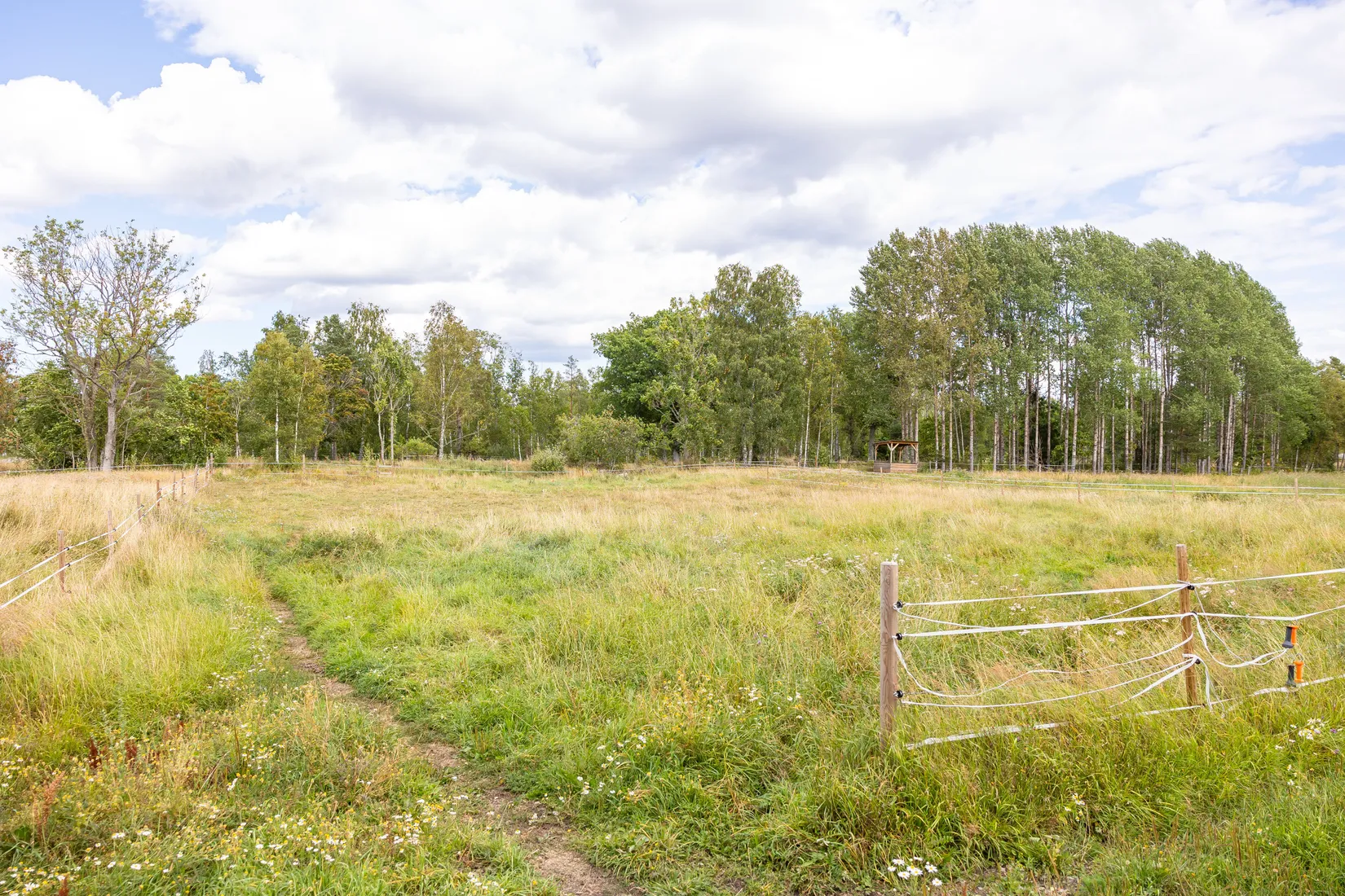Gård/Skog, Björnäs 413, Björnäs, Östhammar