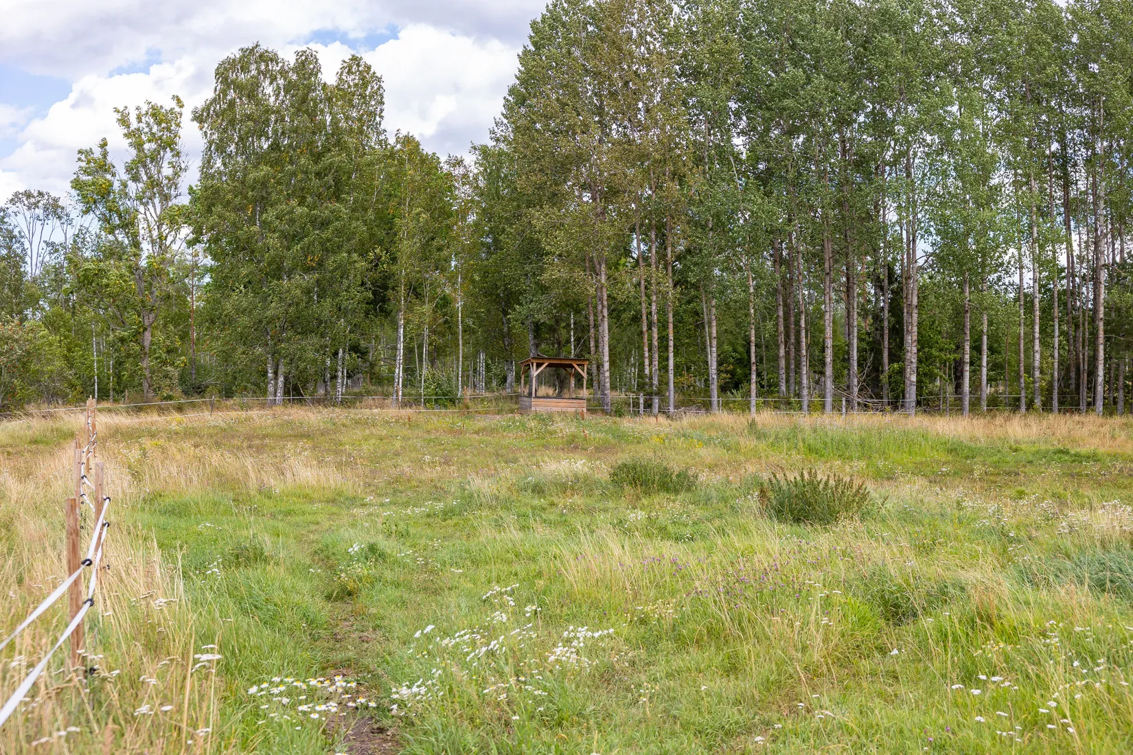 Gård/Skog, Björnäs 413, Björnäs, Östhammar