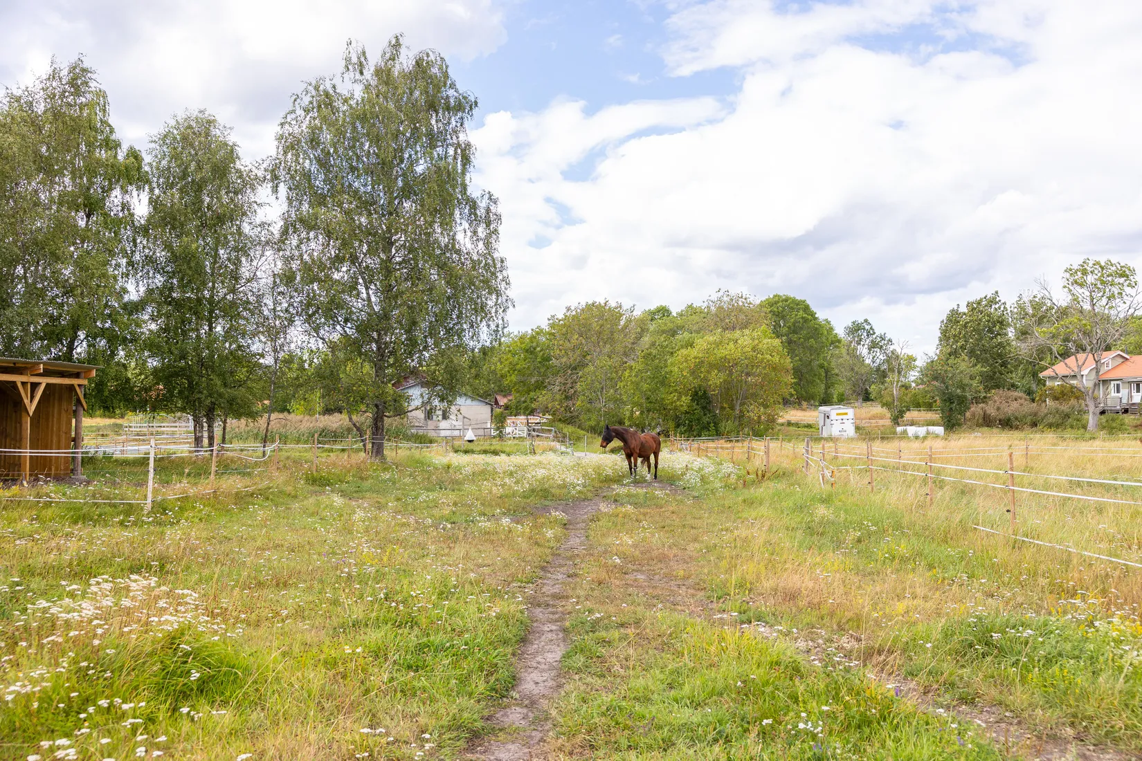 Gård/Skog, Björnäs 413, Björnäs, Östhammar