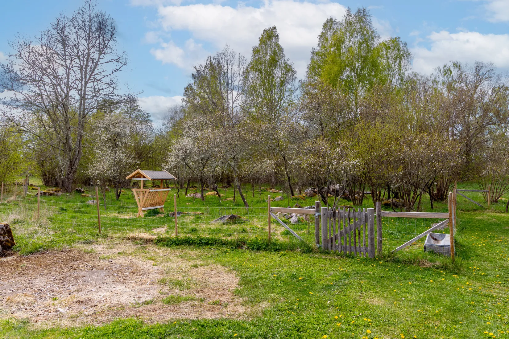 Gård/Skog, Venskögle 6, Virserum, Hultsfred