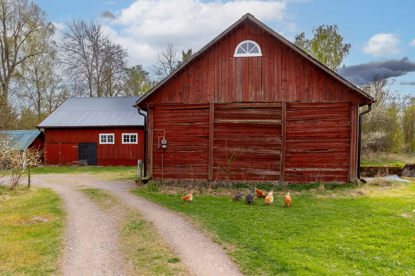 Gård/Skog, Venskögle 6, Virserum, Hultsfred