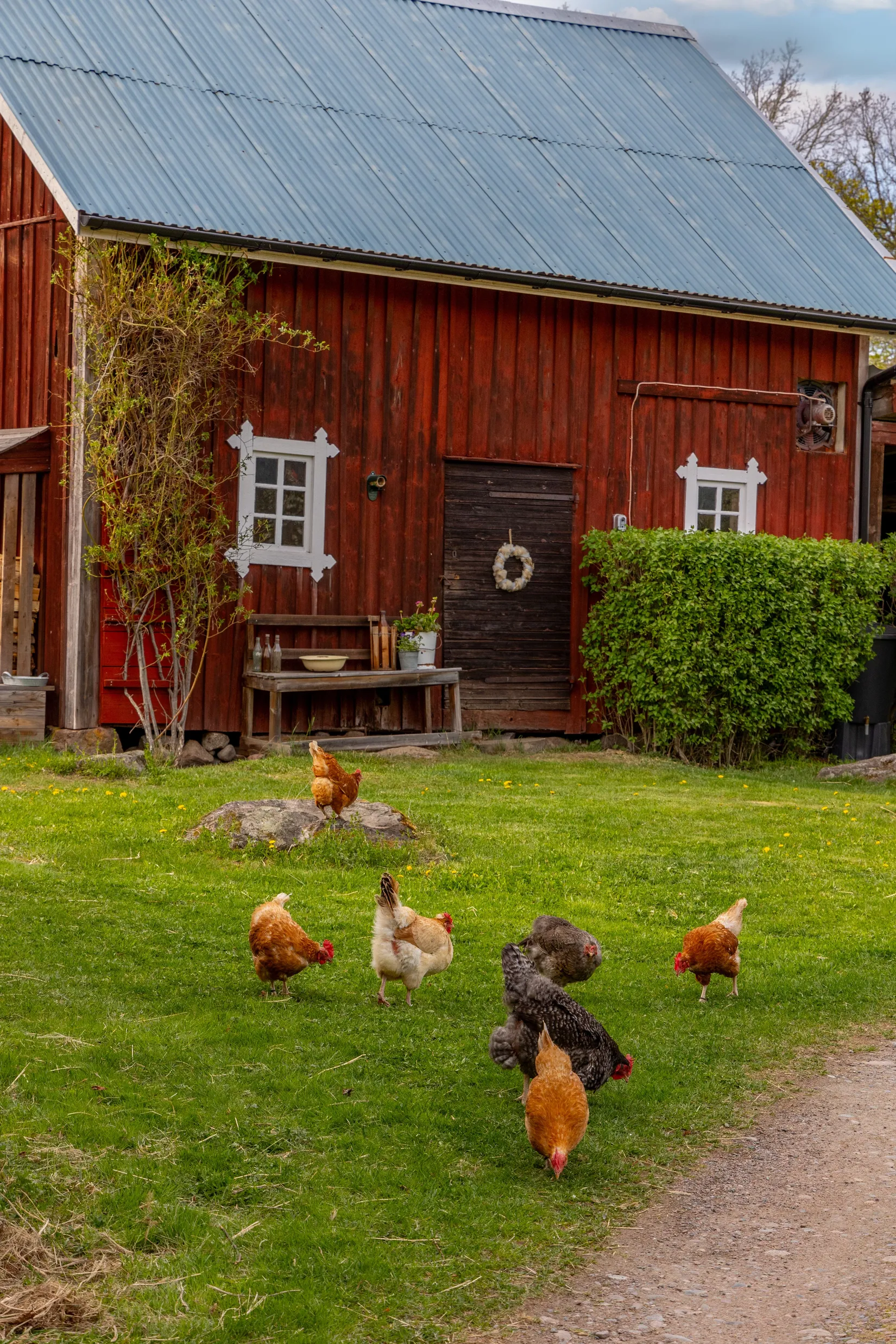 Gård/Skog, Venskögle 6, Virserum, Hultsfred