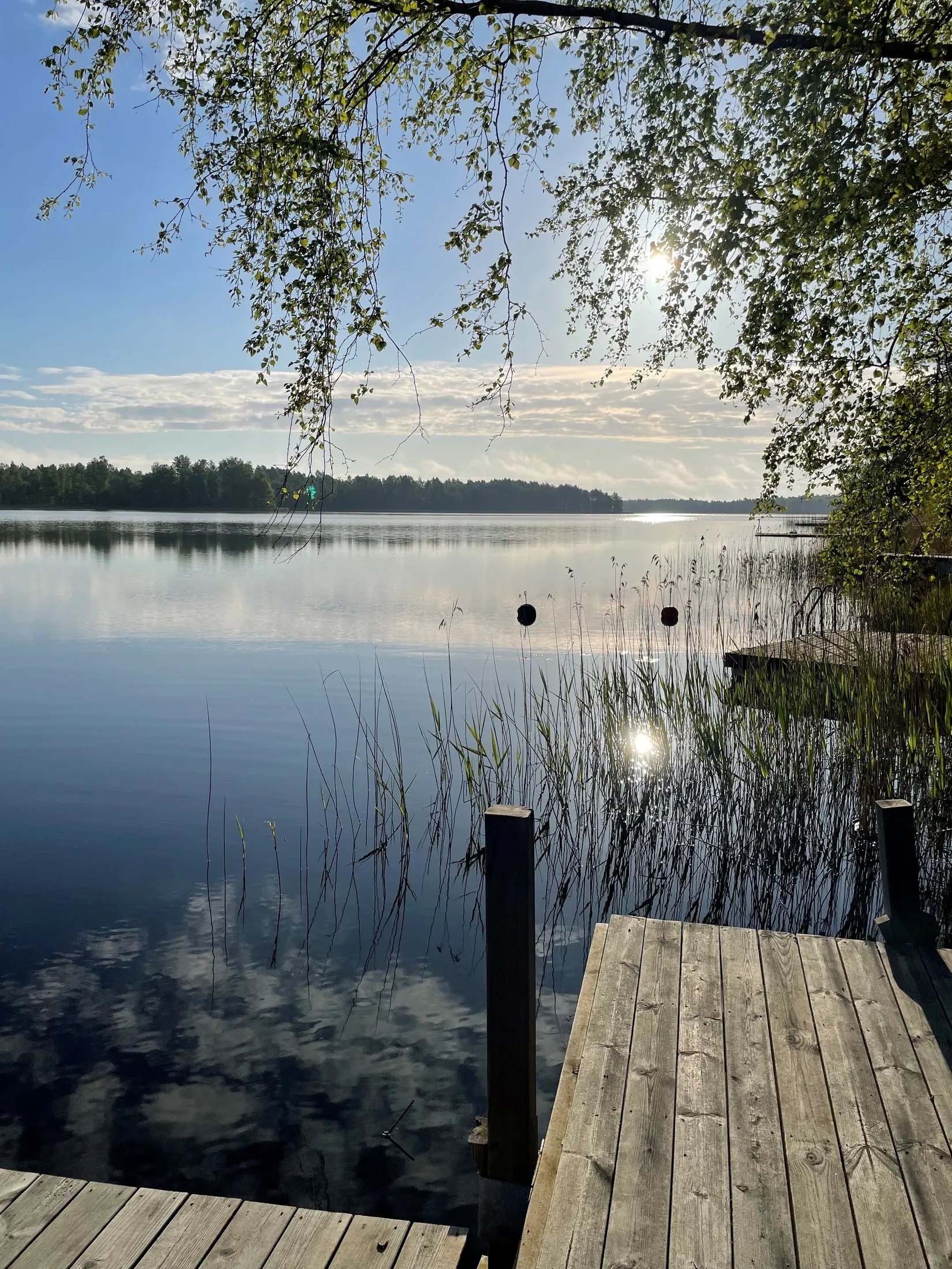 Villa, Tallbacksvägen 29, Hävla, Finspång