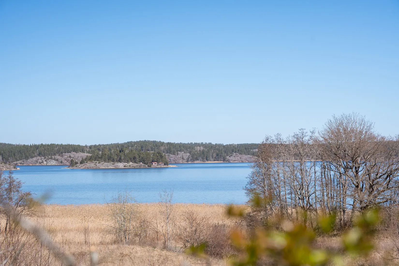 Gård/Skog,  Bertils väg 1, Mogata, Söderköping