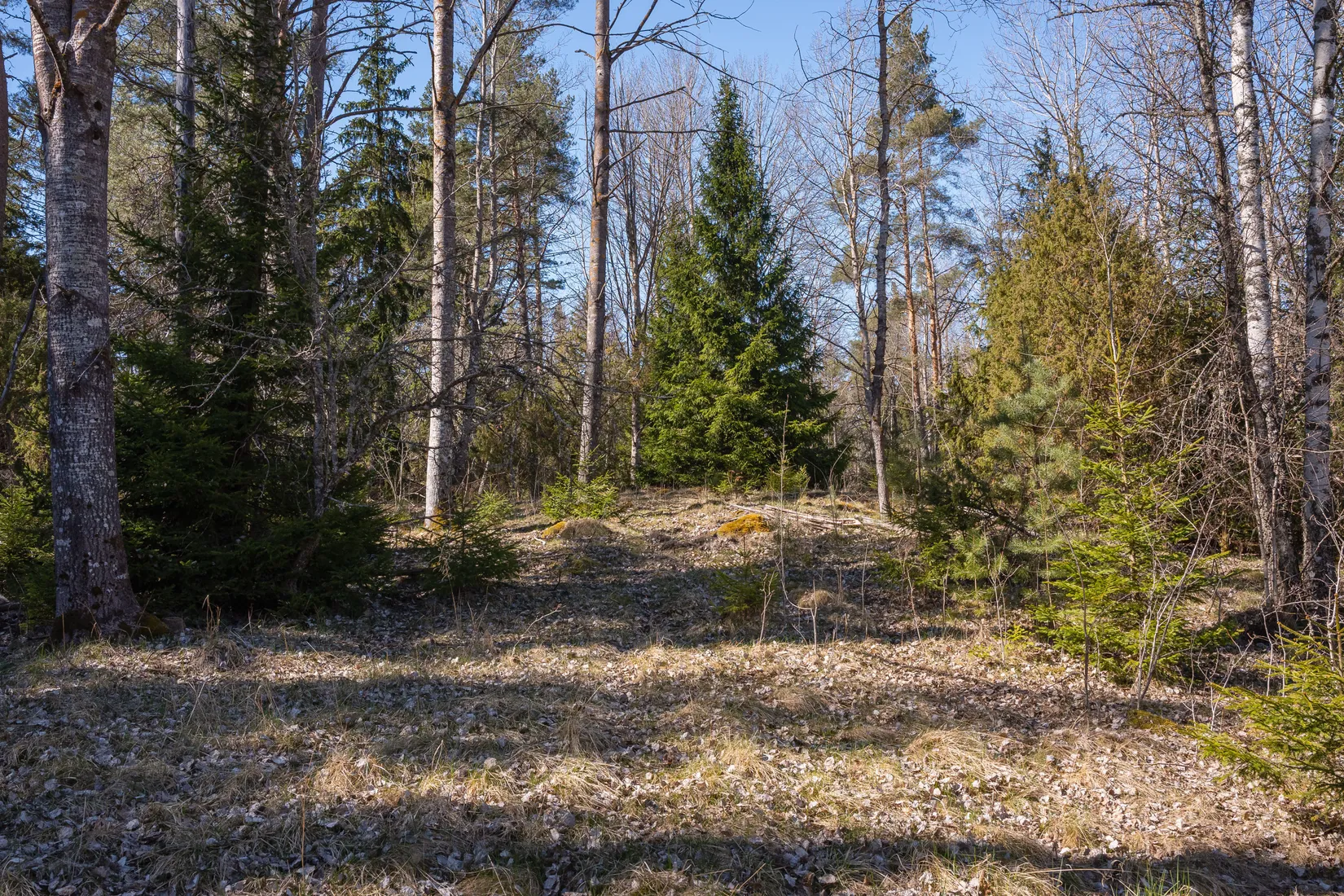 Gård/Skog,  Bertils väg 1, Mogata, Söderköping