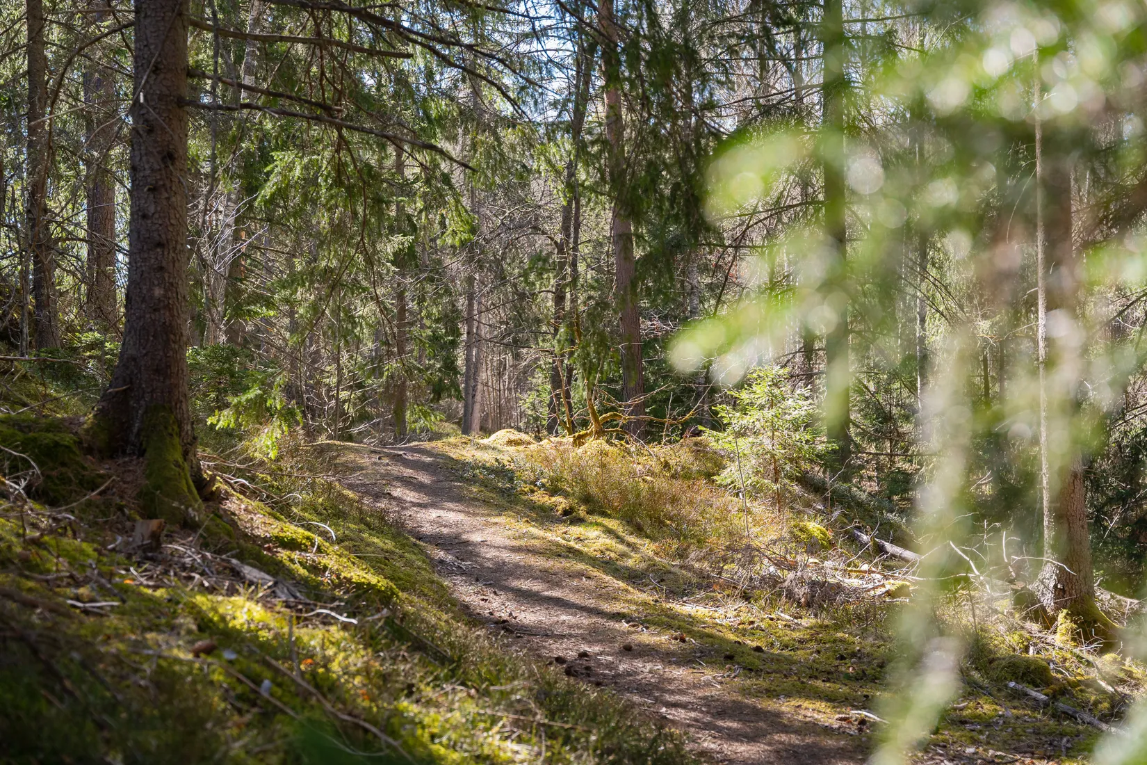 Gård/Skog,  Bertils väg 1, Mogata, Söderköping