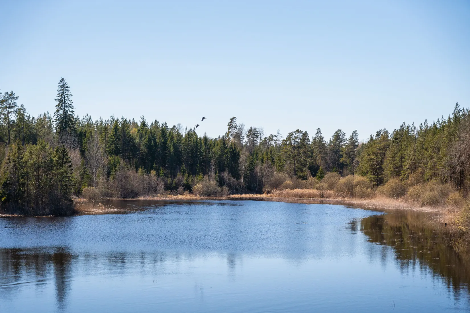 Gård/Skog,  Bertils väg 1, Mogata, Söderköping