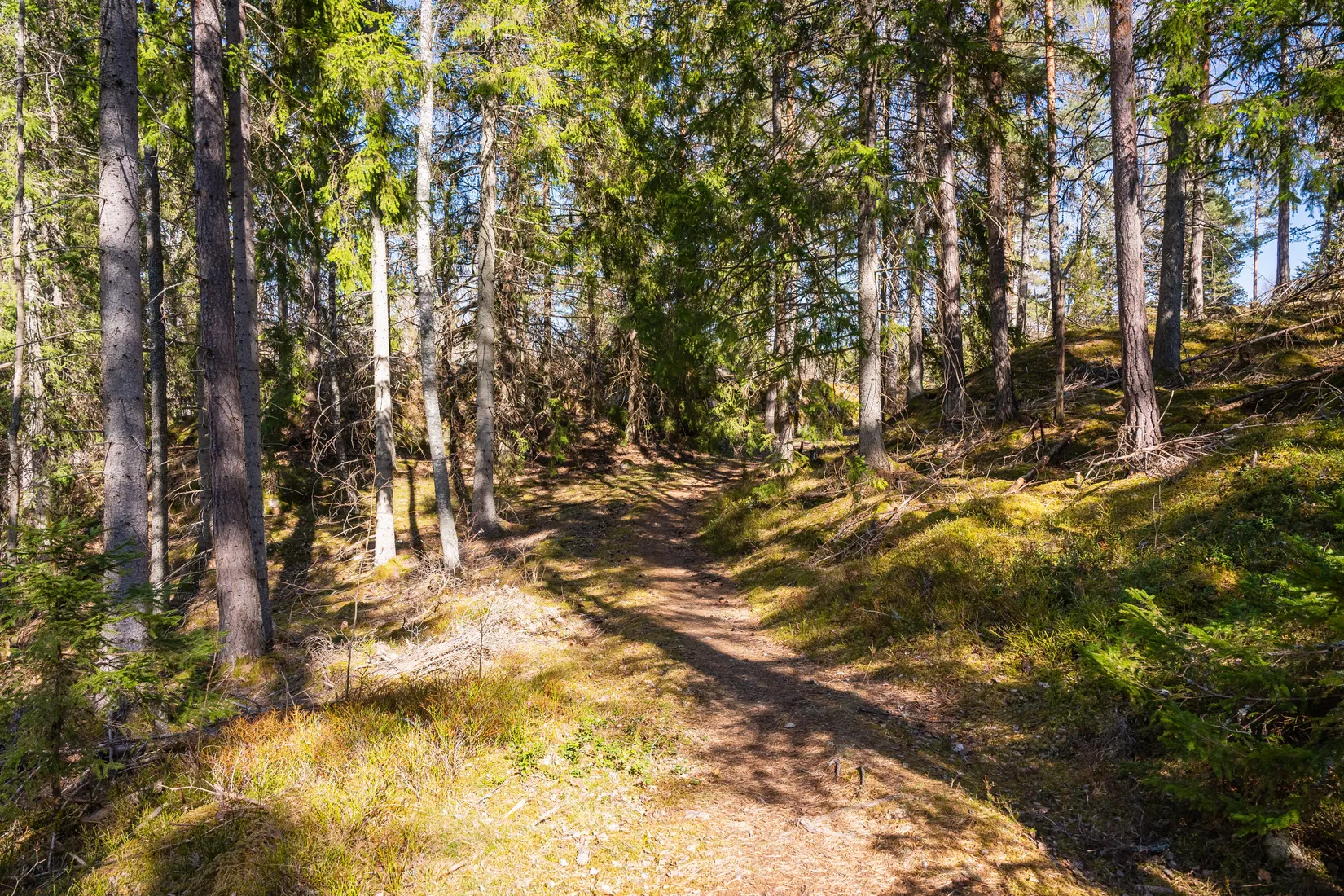 Gård/Skog,  Bertils väg 1, Mogata, Söderköping