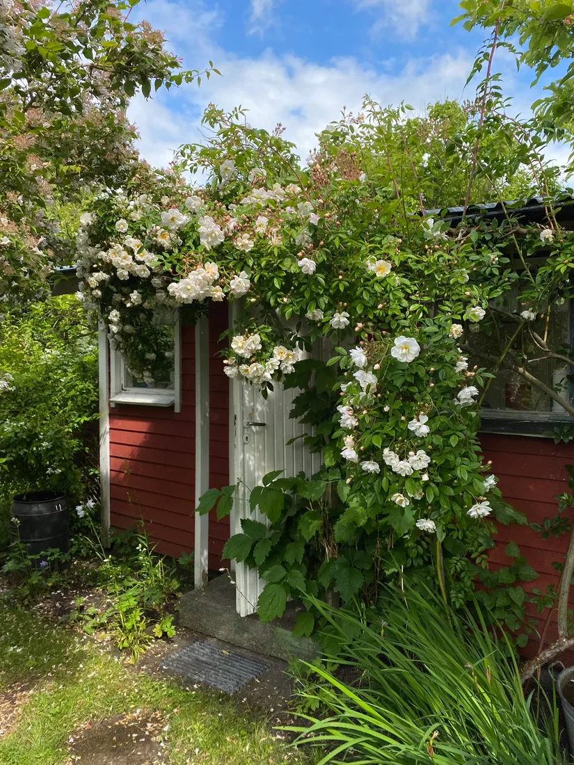 Fritidshus, Kolonilott 39, gata 2, Nolhaga allé 11, Alingsås