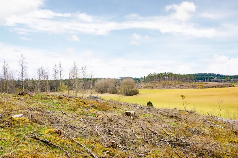 Tomt, Stensholm Hallen 13, Stensholm, Jönköping