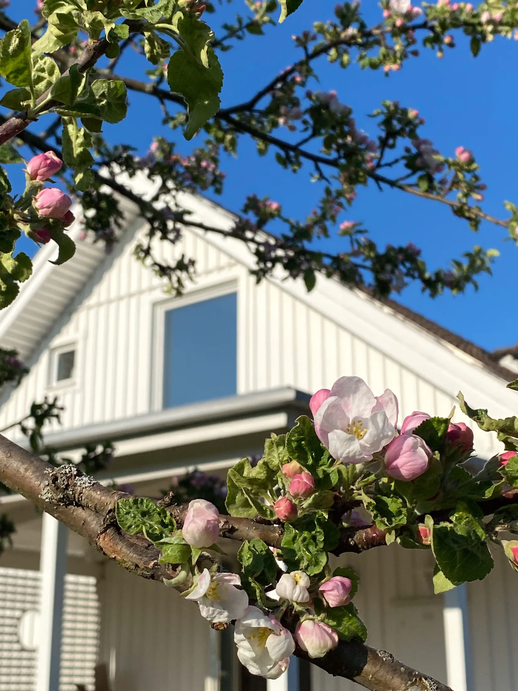 Villa, Agnvägen 1, Juniskär, Sundsvall