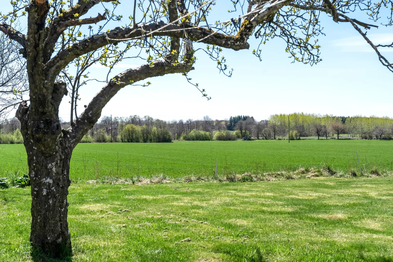 Villa, Satsarp 9607, Hörby Östraby, Hörby