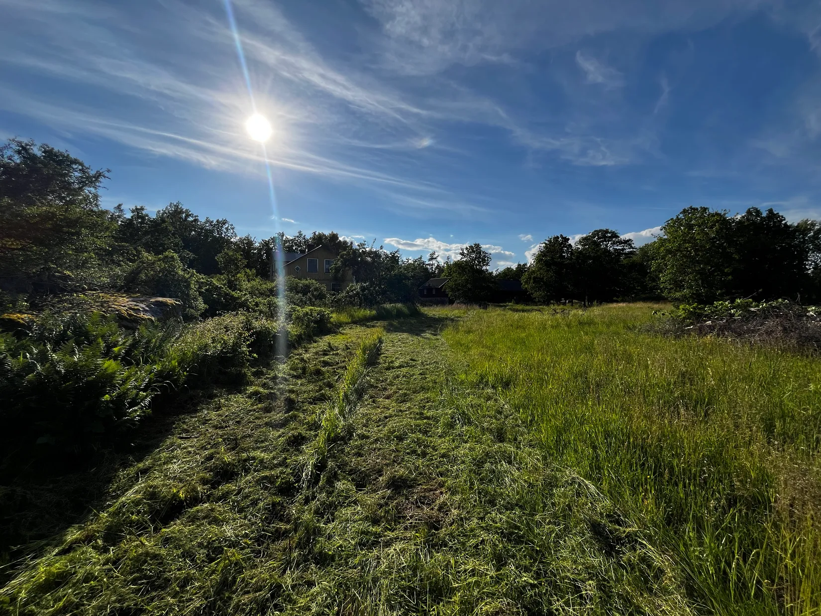 Gård/Skog, Fliseryds-Boda 206, Mönsterås