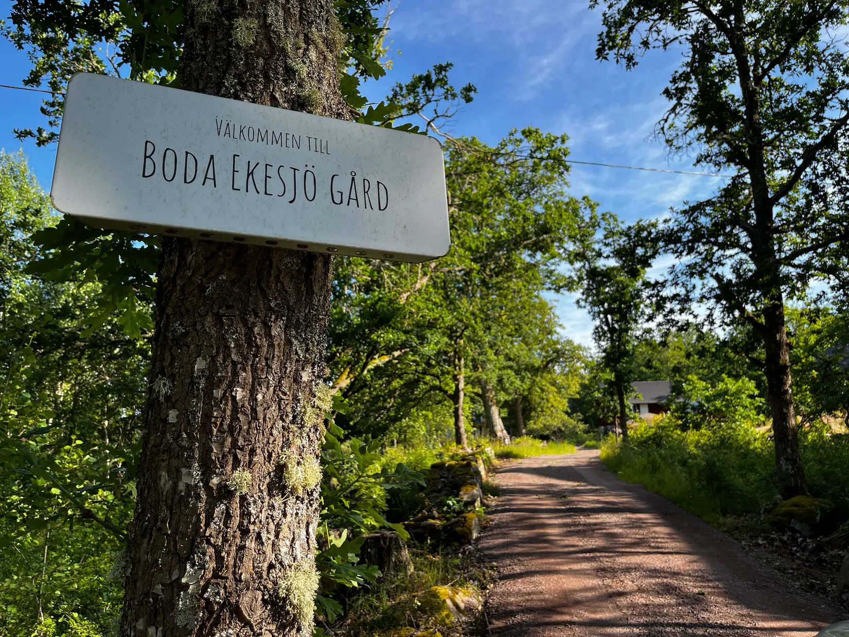 Gård/Skog, Fliseryds-Boda 206, Mönsterås