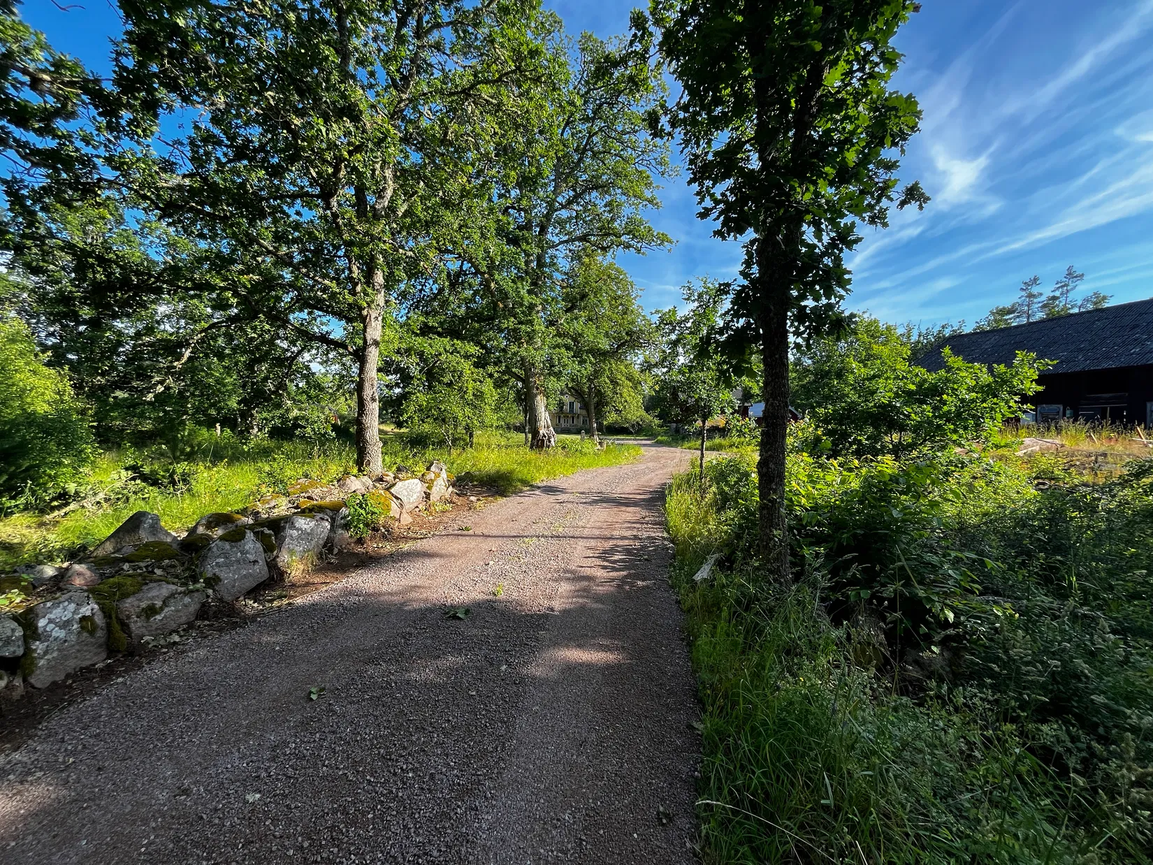 Gård/Skog, Fliseryds-Boda 206, Mönsterås