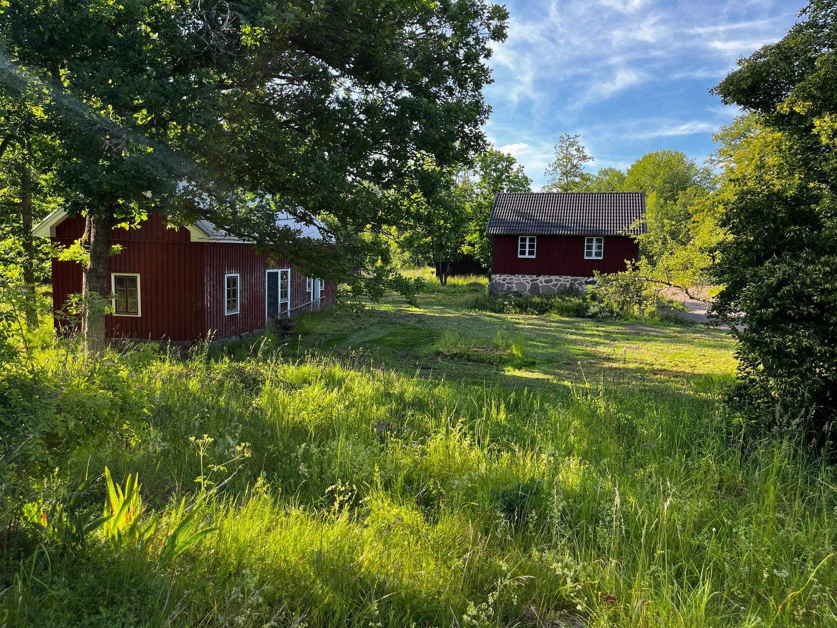 Gård/Skog, Fliseryds-Boda 206, Mönsterås