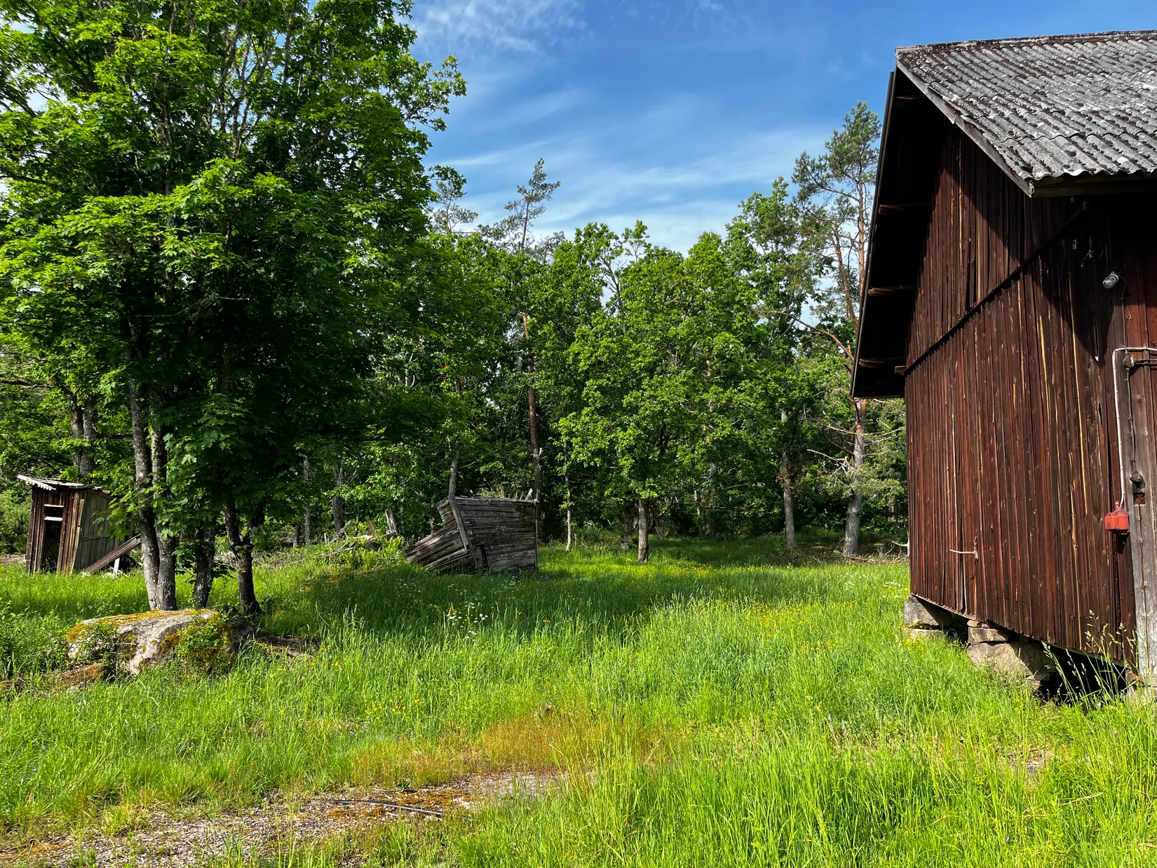 Gård/Skog, Fliseryds-Boda 206, Mönsterås