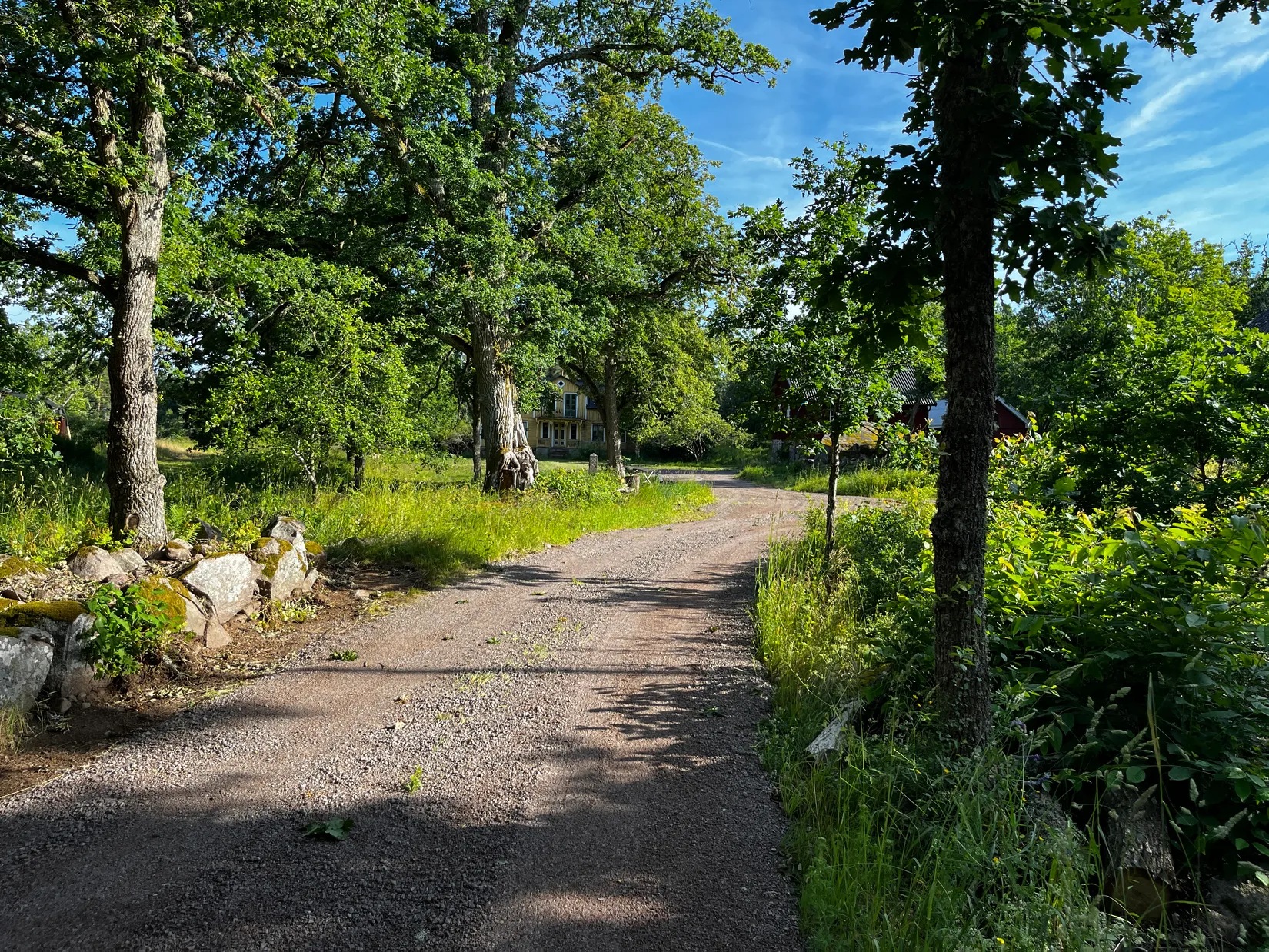 Gård/Skog, Fliseryds-Boda 206, Mönsterås