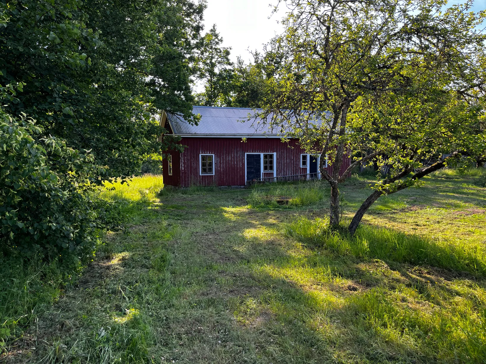 Gård/Skog, Fliseryds-Boda 206, Mönsterås