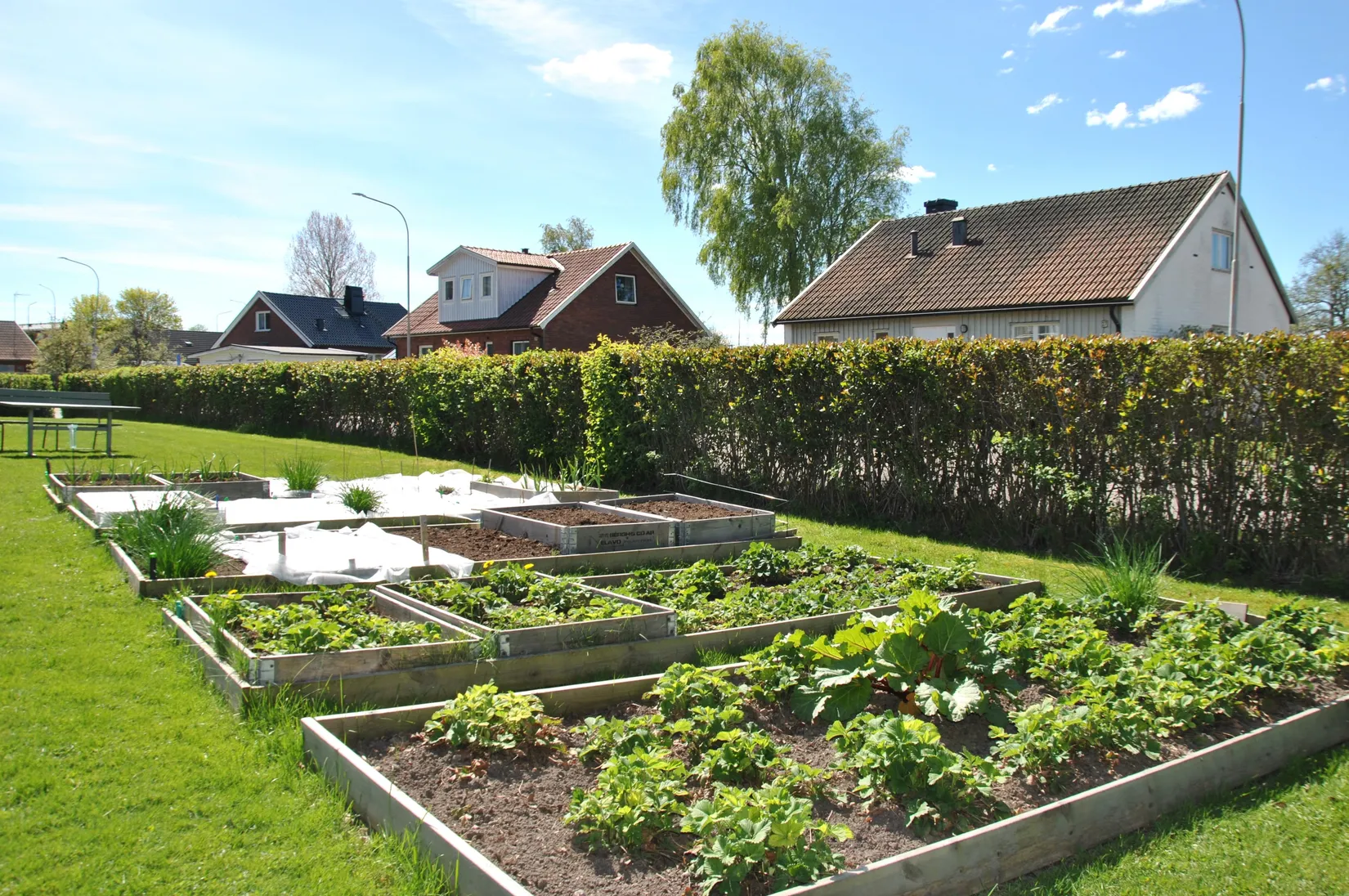 Bostadsrätt, Roddaregatan 11 A, Vänersborg