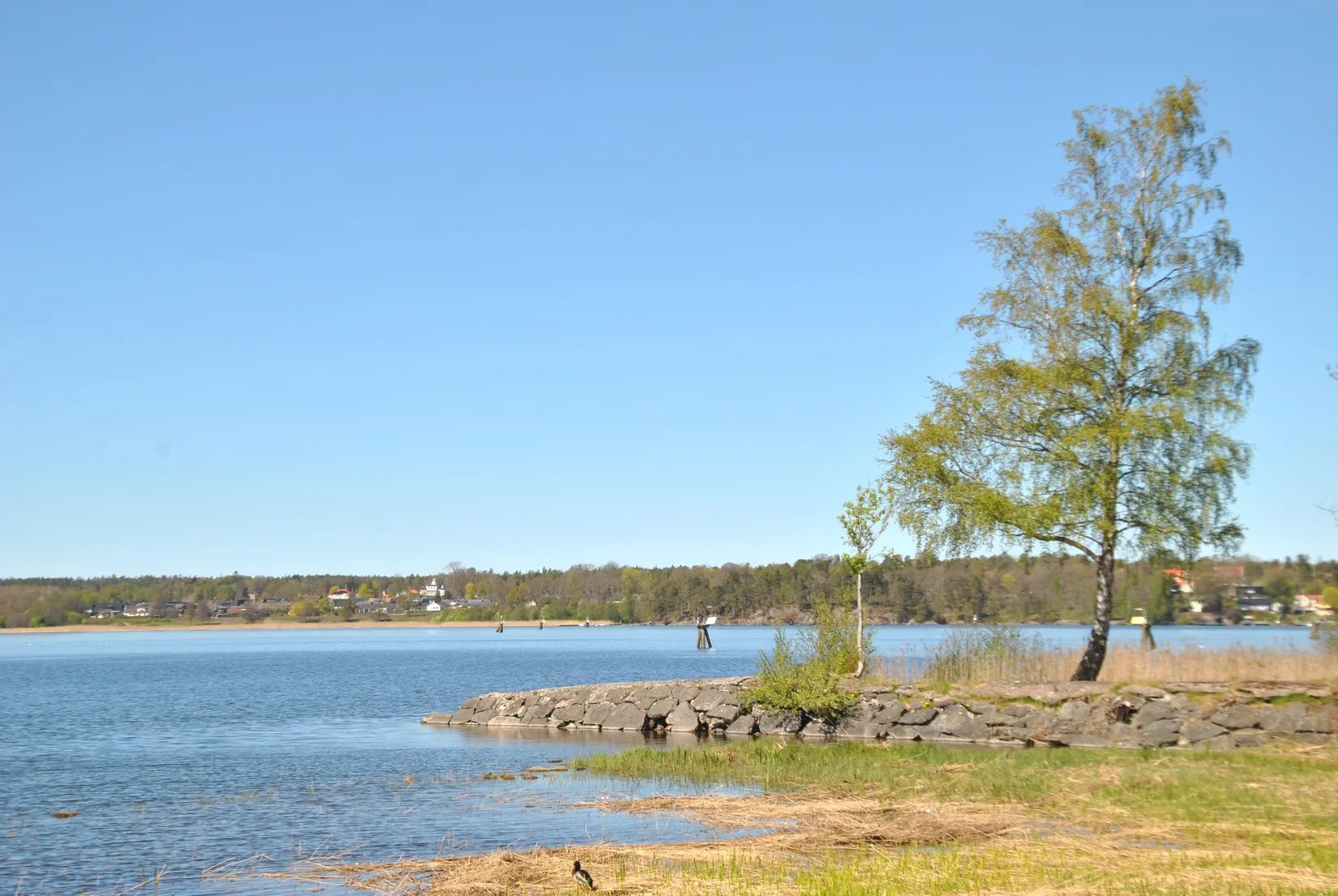 Bostadsrätt, Roddaregatan 11 A, Vänersborg
