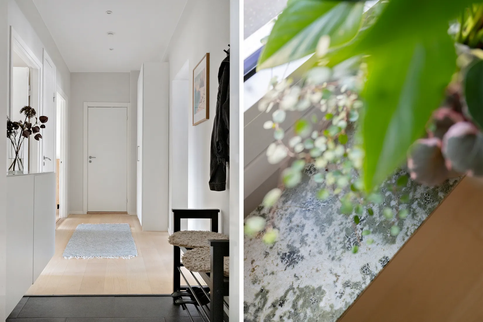 Bostadsrätt, Fågelbacksgatan 14a, Fågelbacken, Malmö