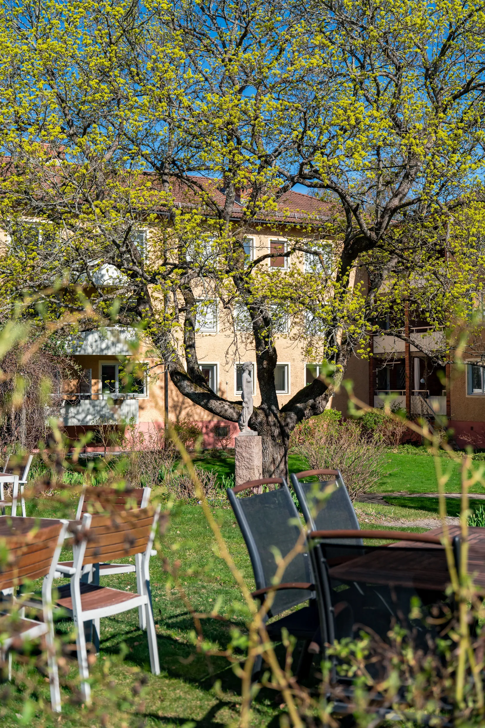Bostadsrätt, Viktoriagatan 6C, Luthagen, Uppsala