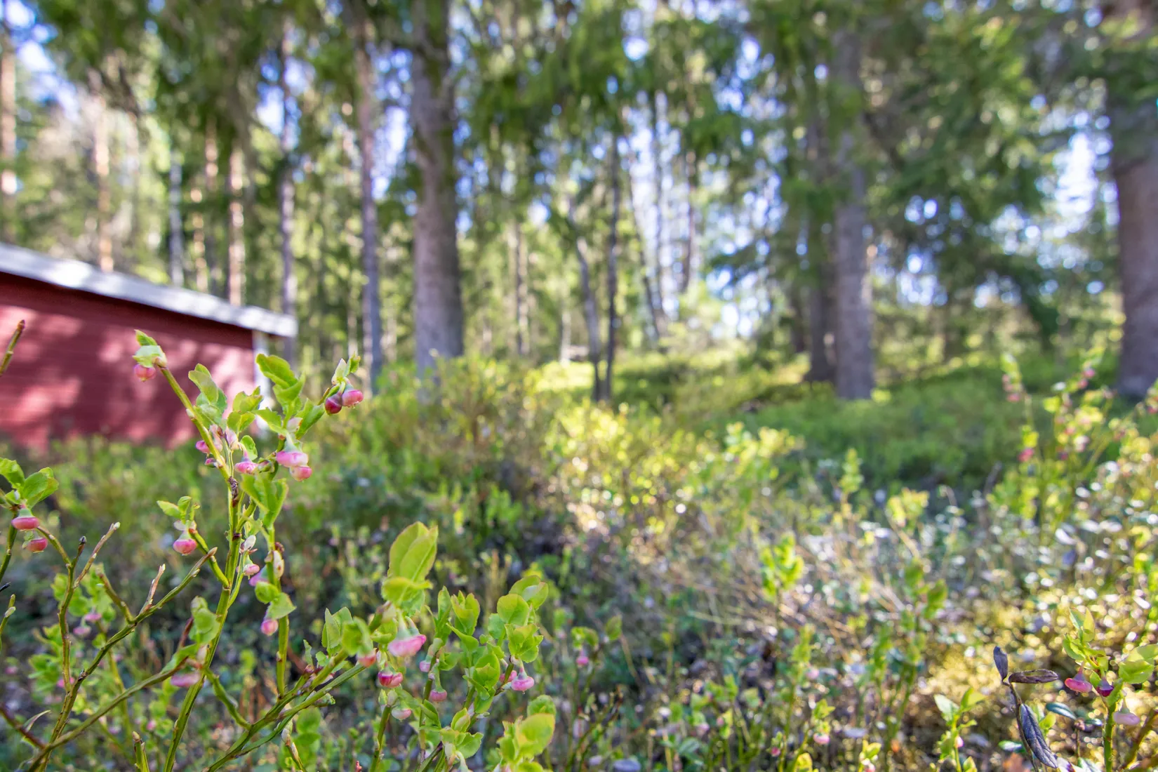 Fritidshus, Nytthöjden 931, Väse/Nytthöjden, Karlstad