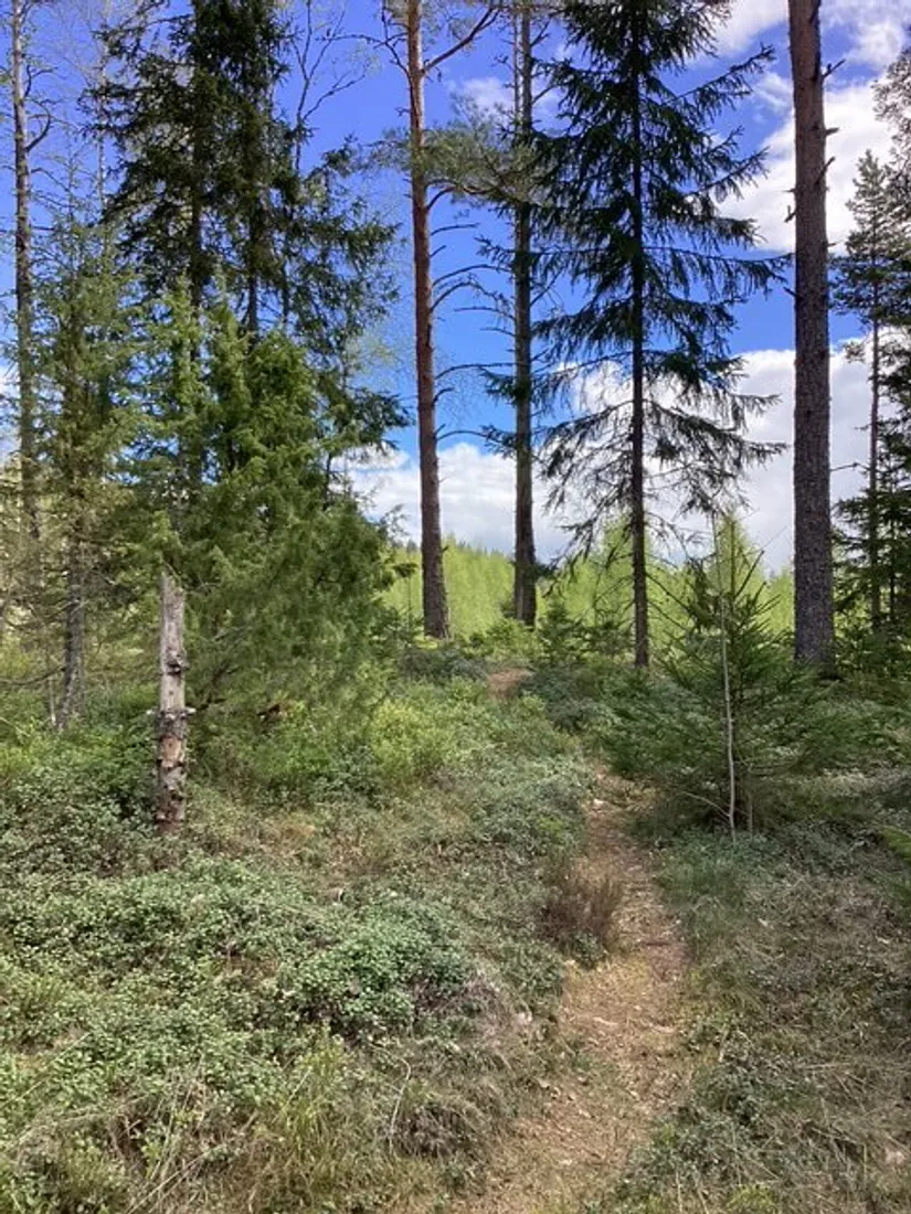 Fritidshus, Nytthöjden 931, Väse/Nytthöjden, Karlstad