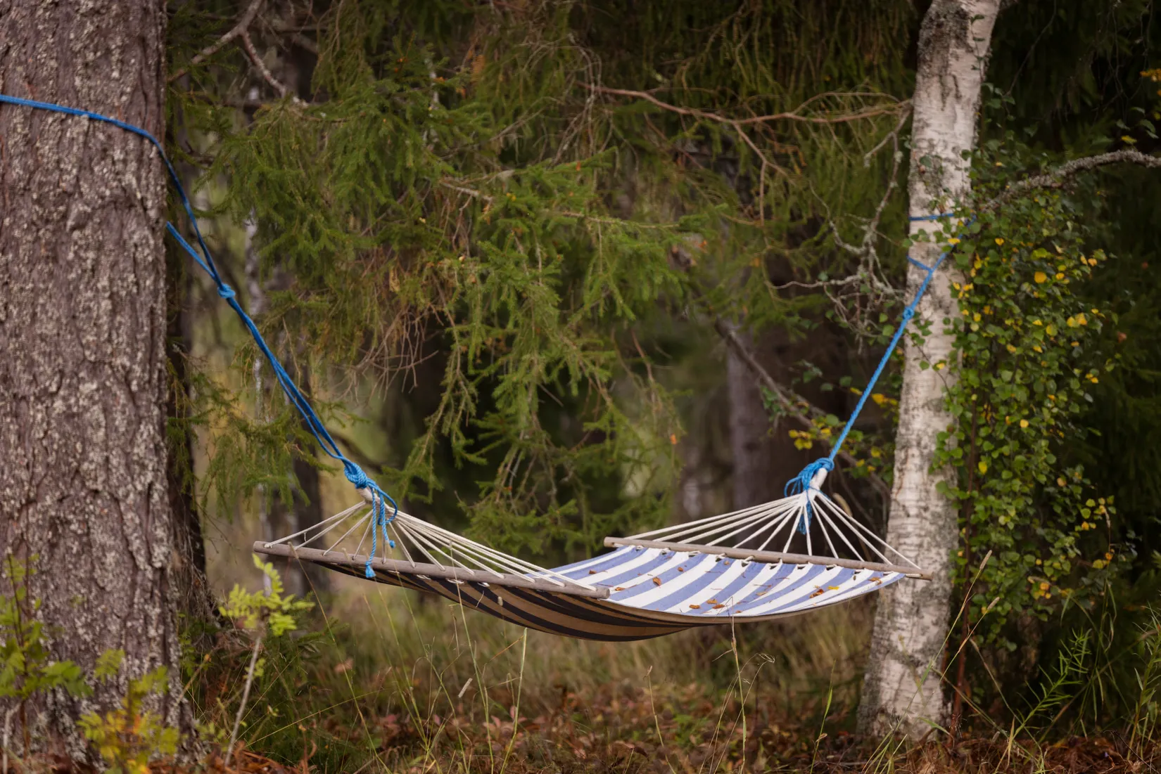 Fritidshus, Sävarberg 33, Täfteå, Umeå