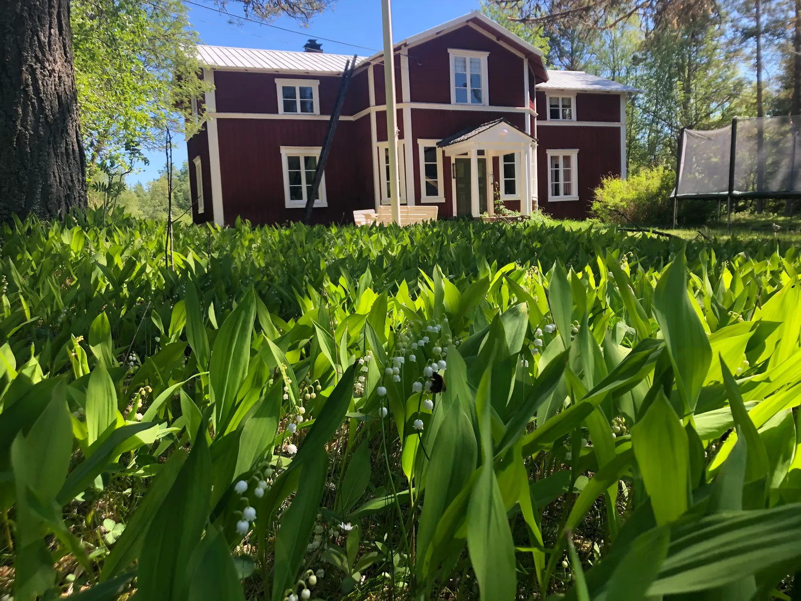 Fritidshus, Sävarberg 33, Täfteå, Umeå