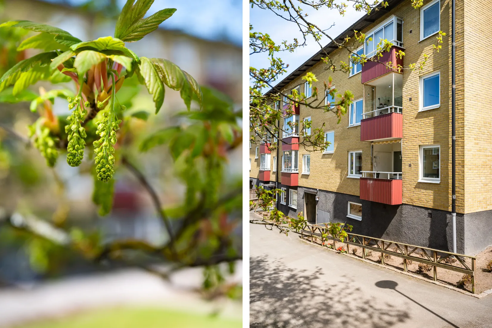 Bostadsrätt, Backsläntsgatan 5c, Väster, Hässleholm