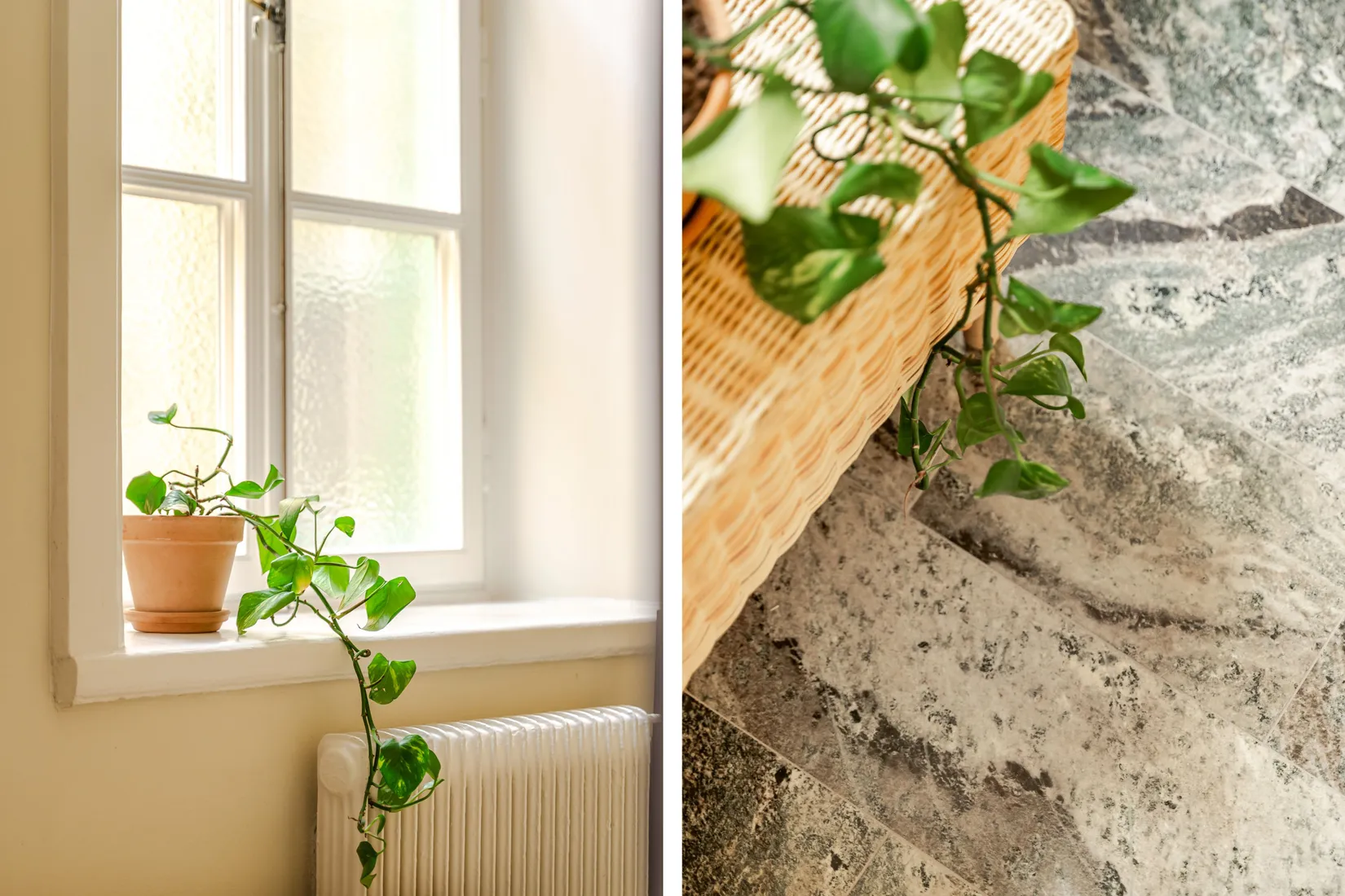 Bostadsrätt, Sibyllegatan 43A, Östermalm, Stockholm