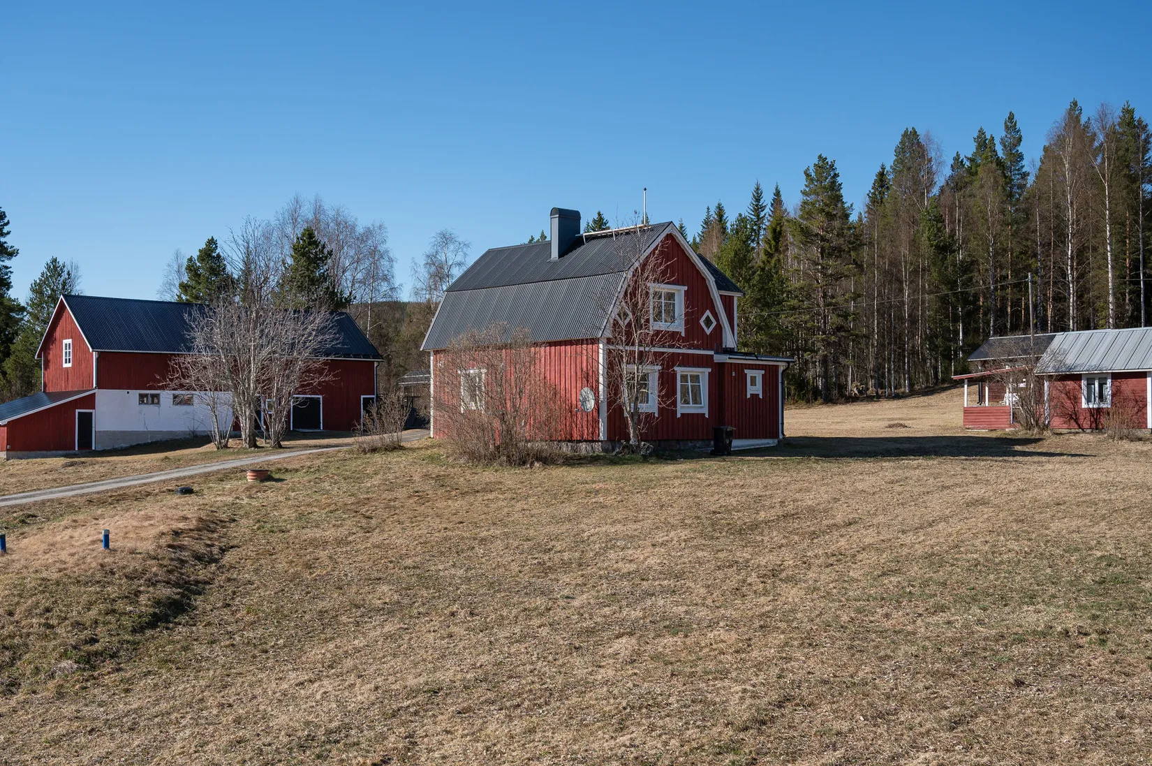 Gård/Skog, Östra By 142, Ånge