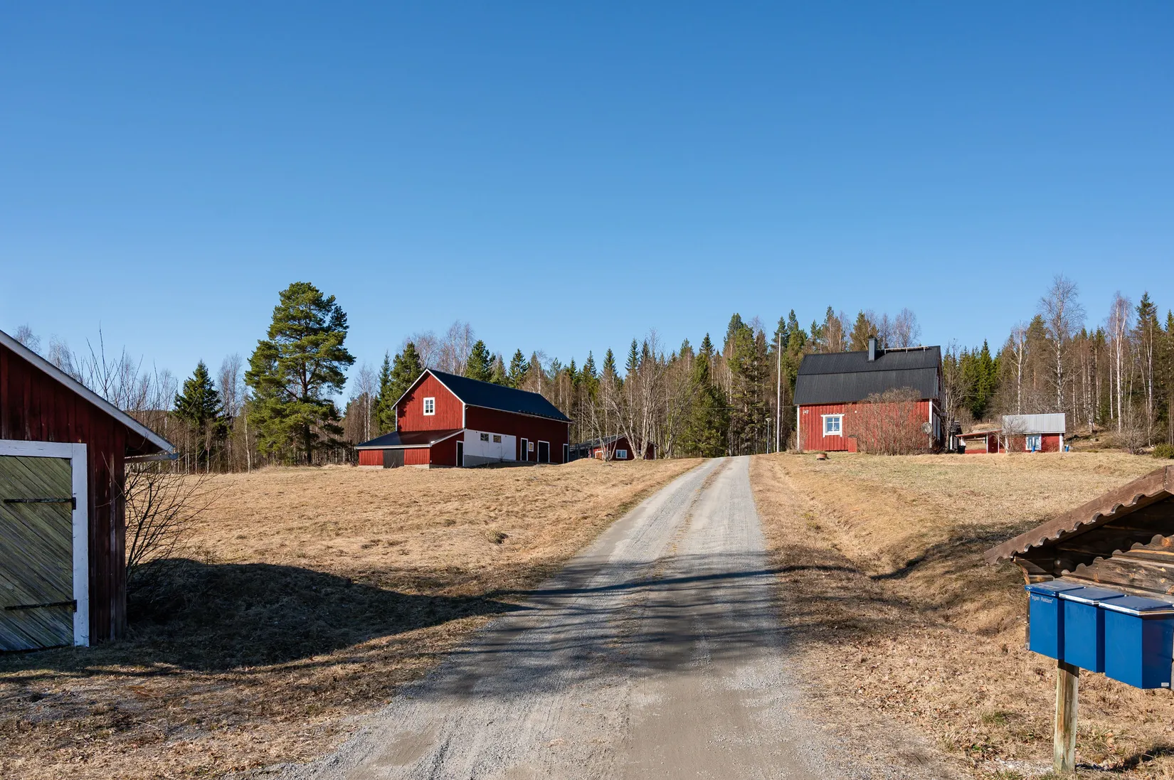 Gård/Skog, Östra By 142, Ånge