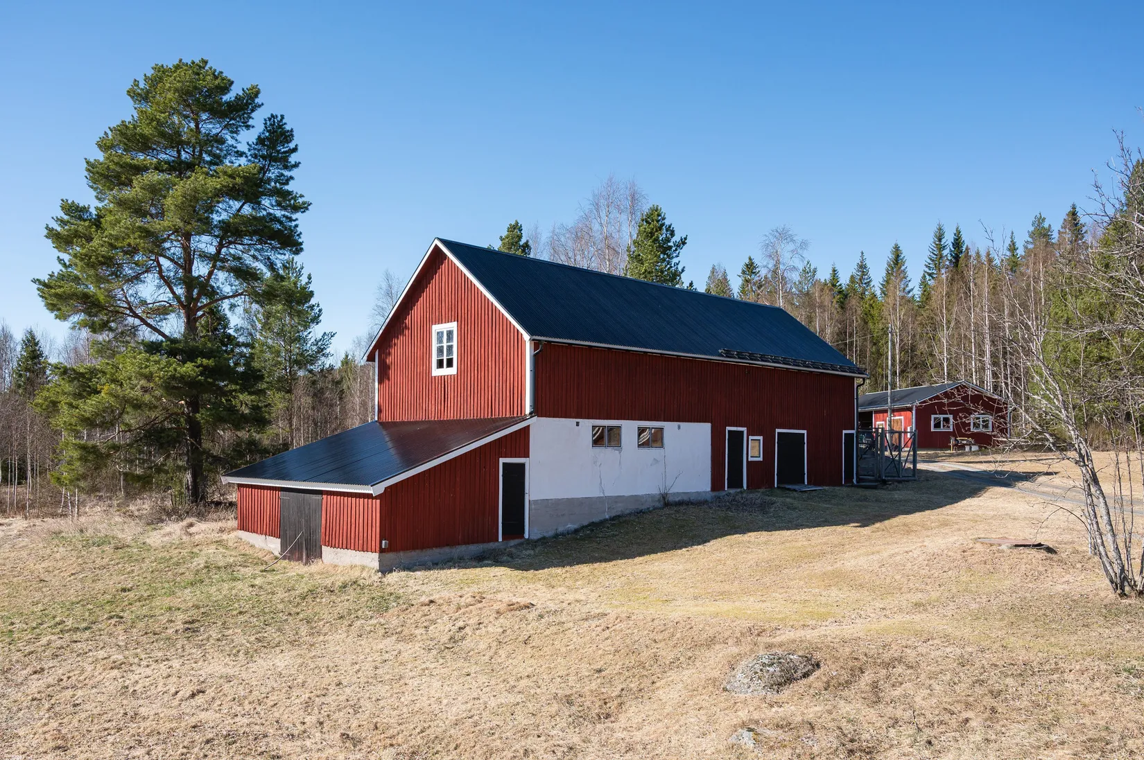 Gård/Skog, Östra By 142, Ånge