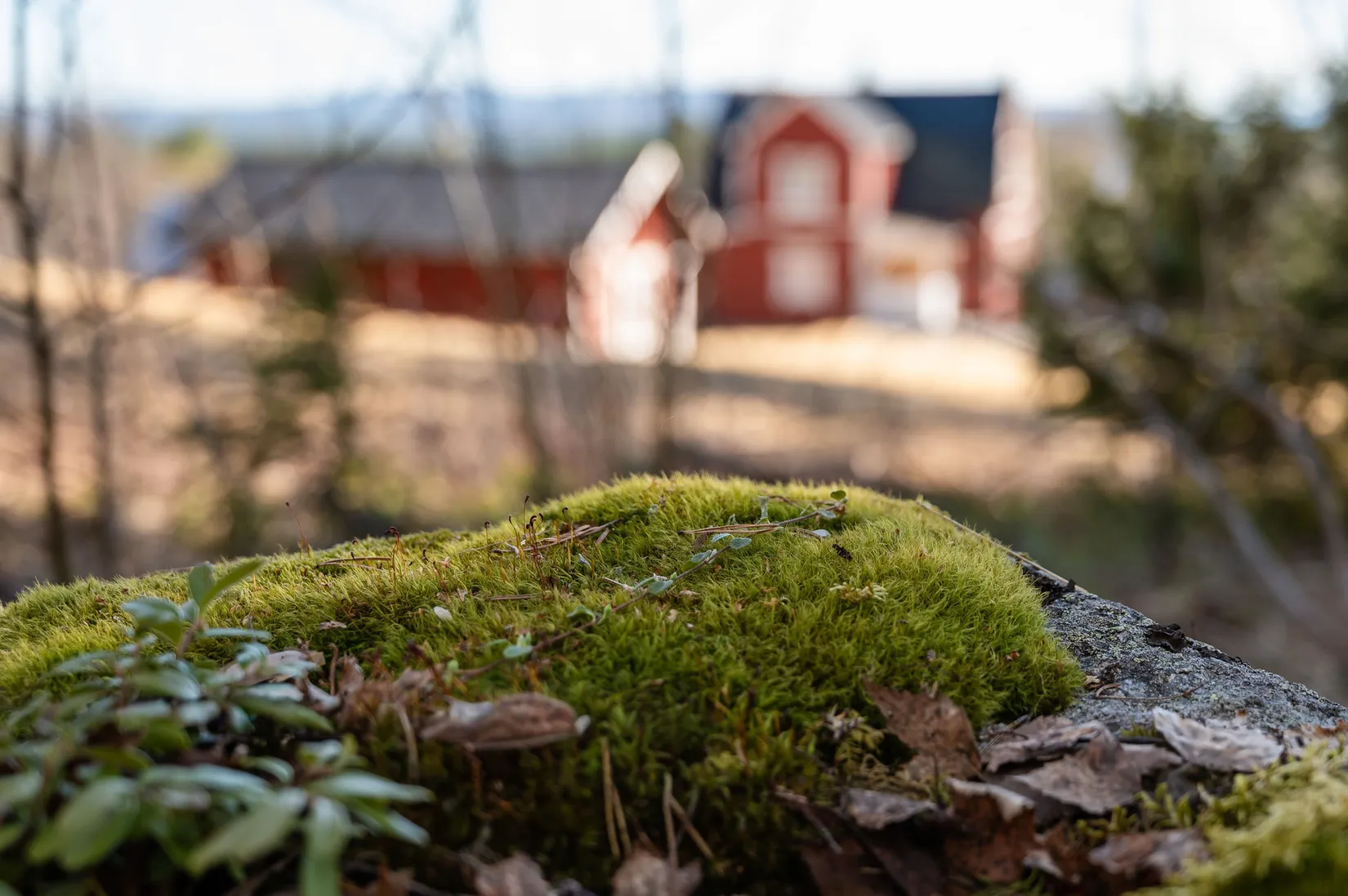 Gård/Skog, Östra By 142, Ånge