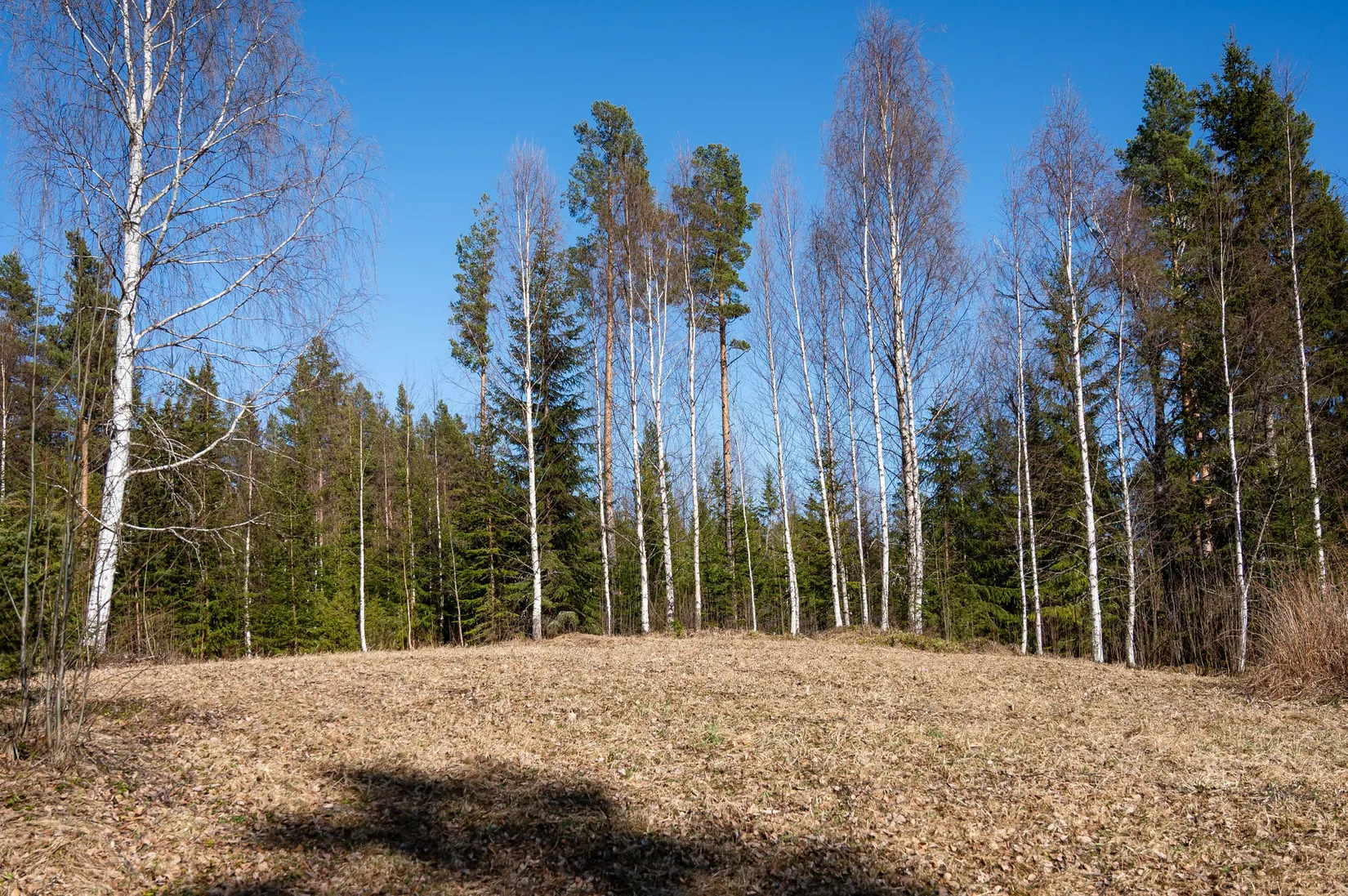 Gård/Skog, Östra By 142, Ånge