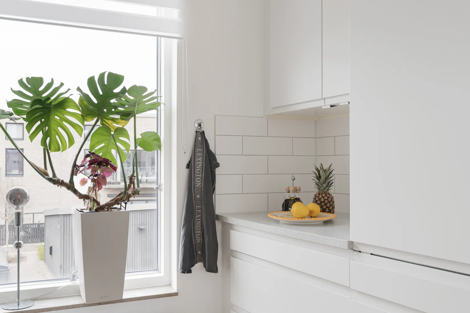 Bostadsrätt, Vildrosgatan 41, Vasatorps Trädgård, Helsingborg