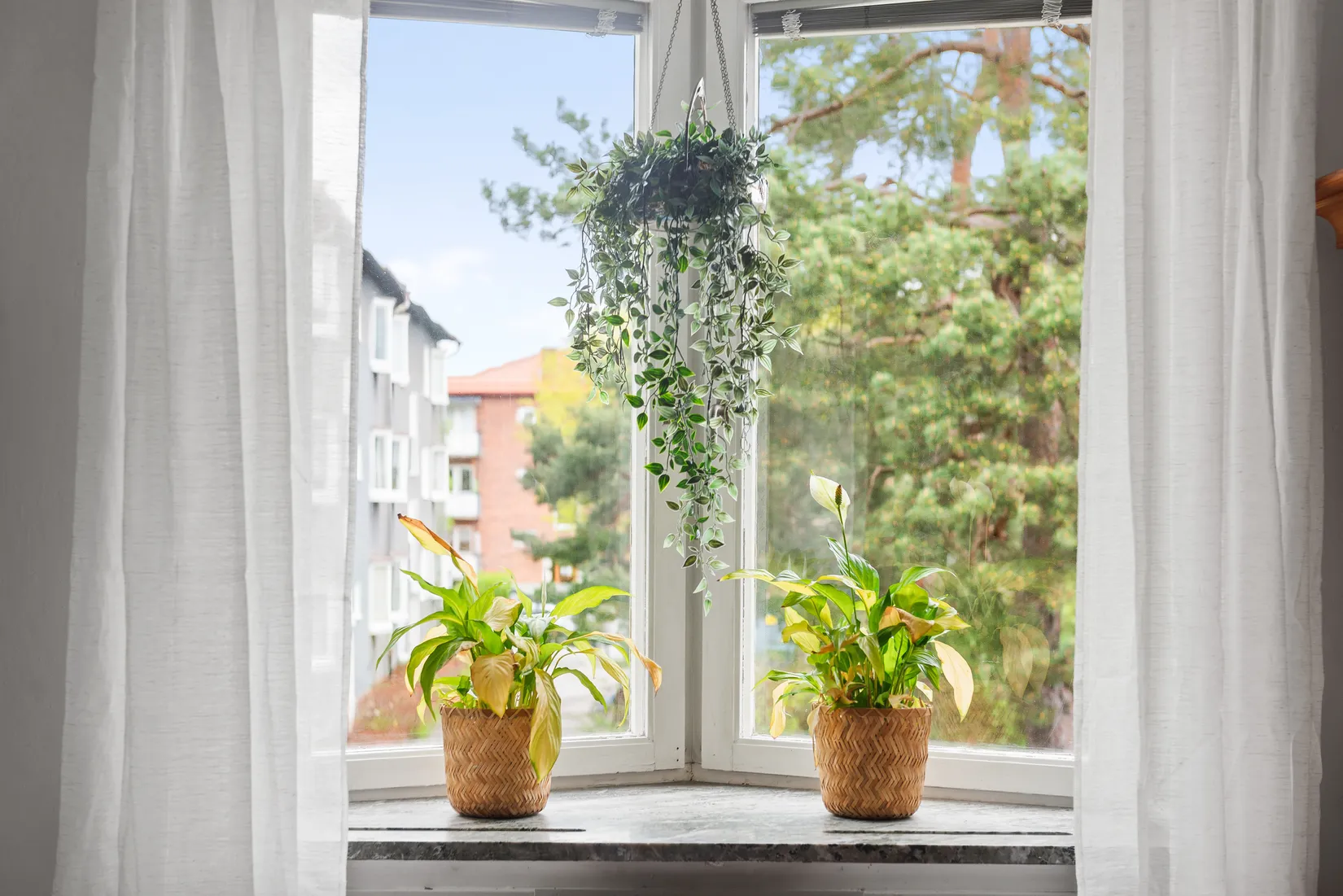 Bostadsrätt, Holbergsgatan 46, Stockholm