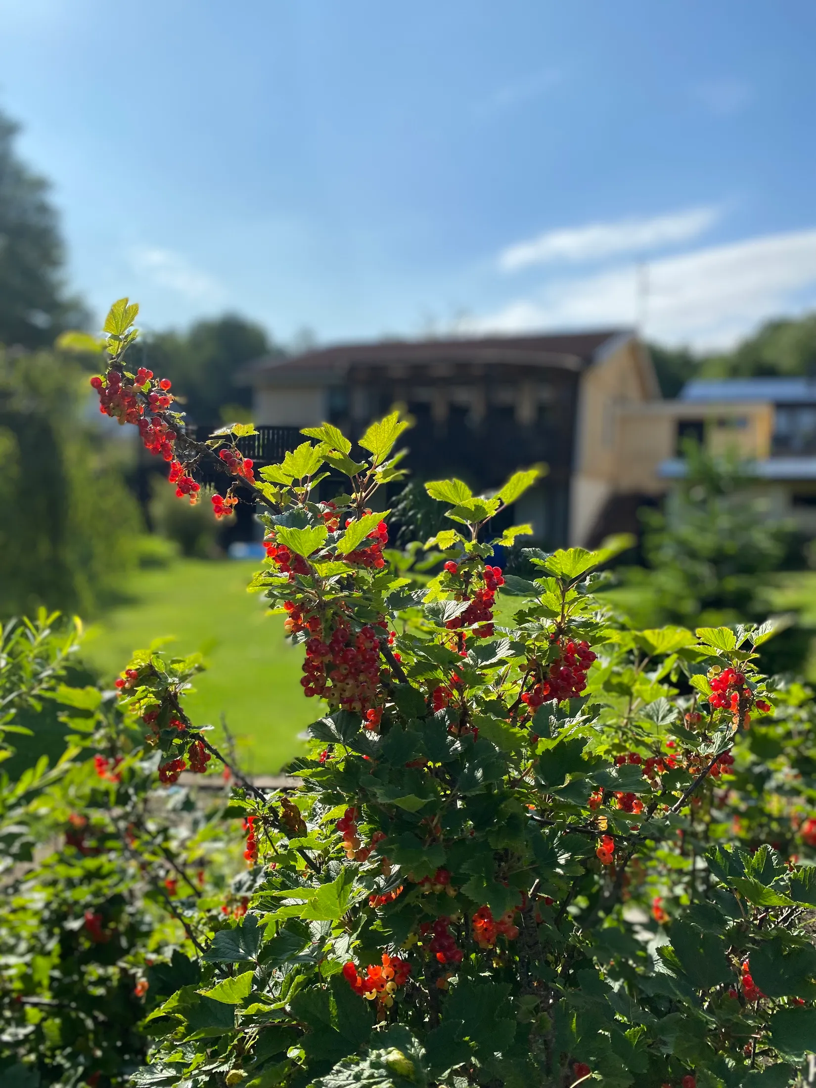 Villa, Guldflyvägen 2, Åled, Halmstad