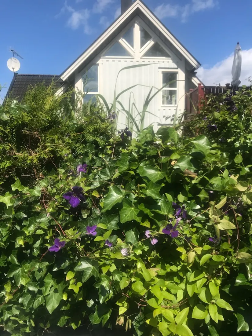 Fritidshus, Styrmansvägen 20B, Hällevik, Sölvesborg