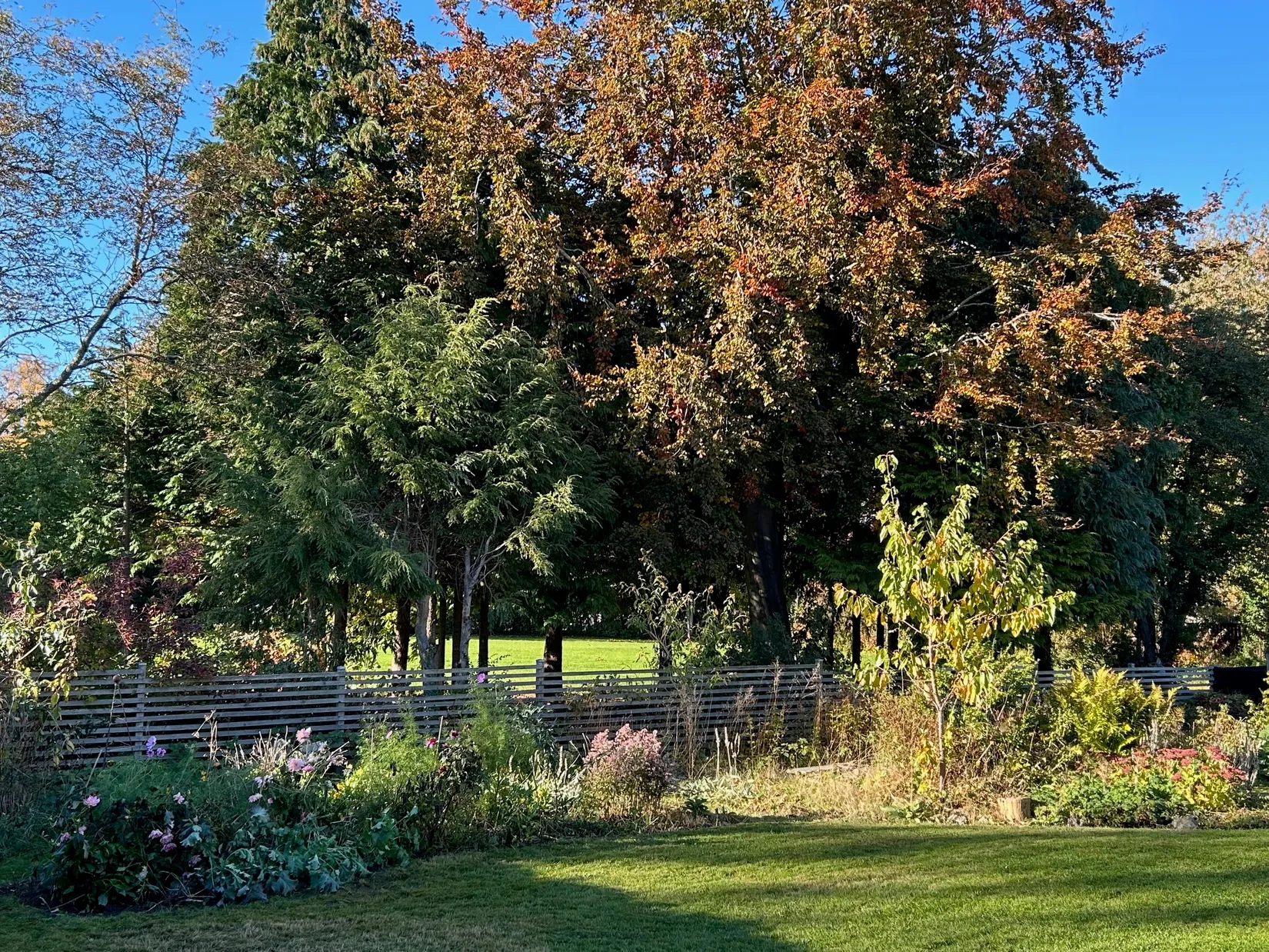 Villa, Stattenagatan 6, Skurup