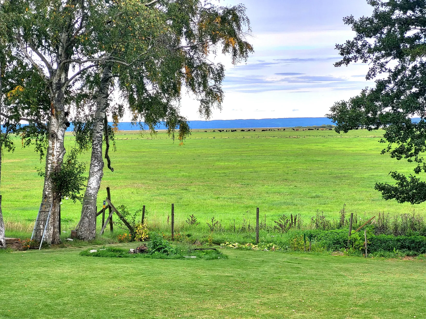 Villa, Alguvi KARLSHEM 1, Berg, Linköping